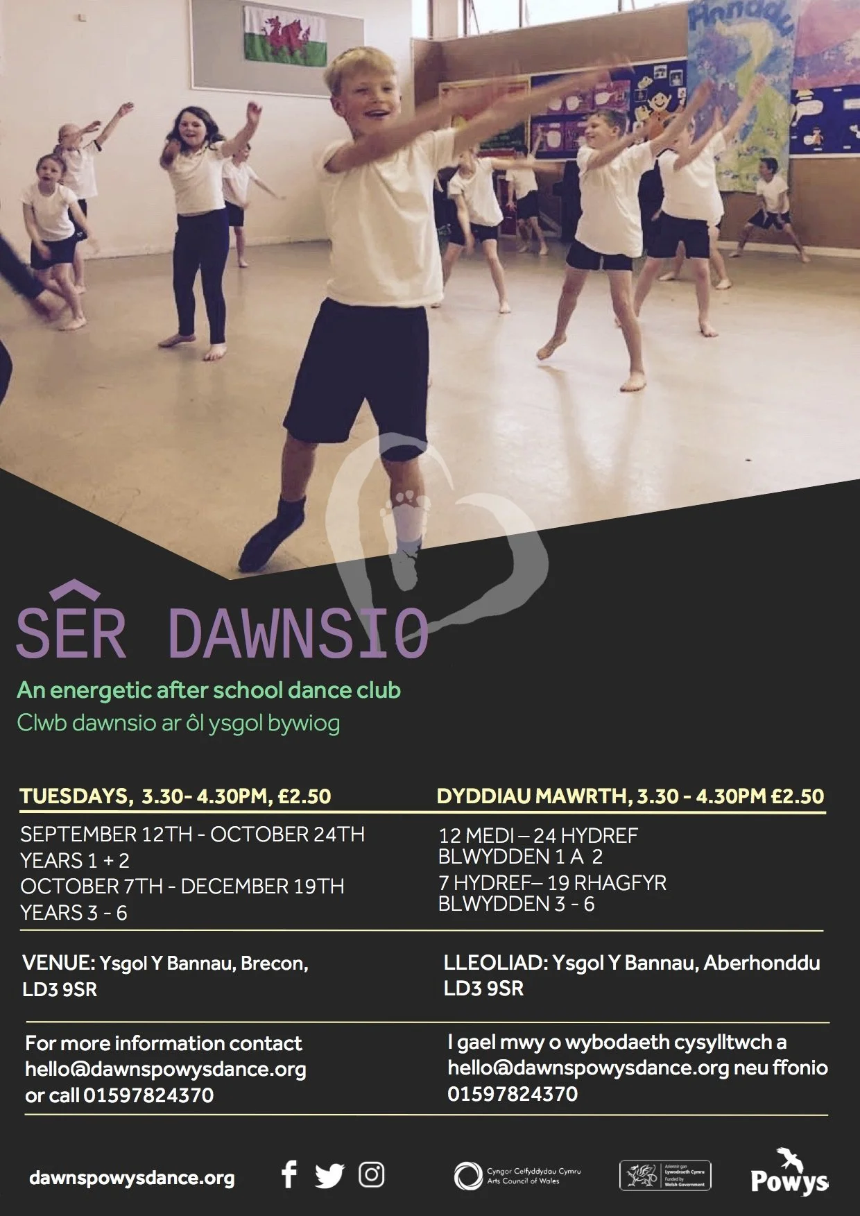 Ser Dawnsio 2017.jpg