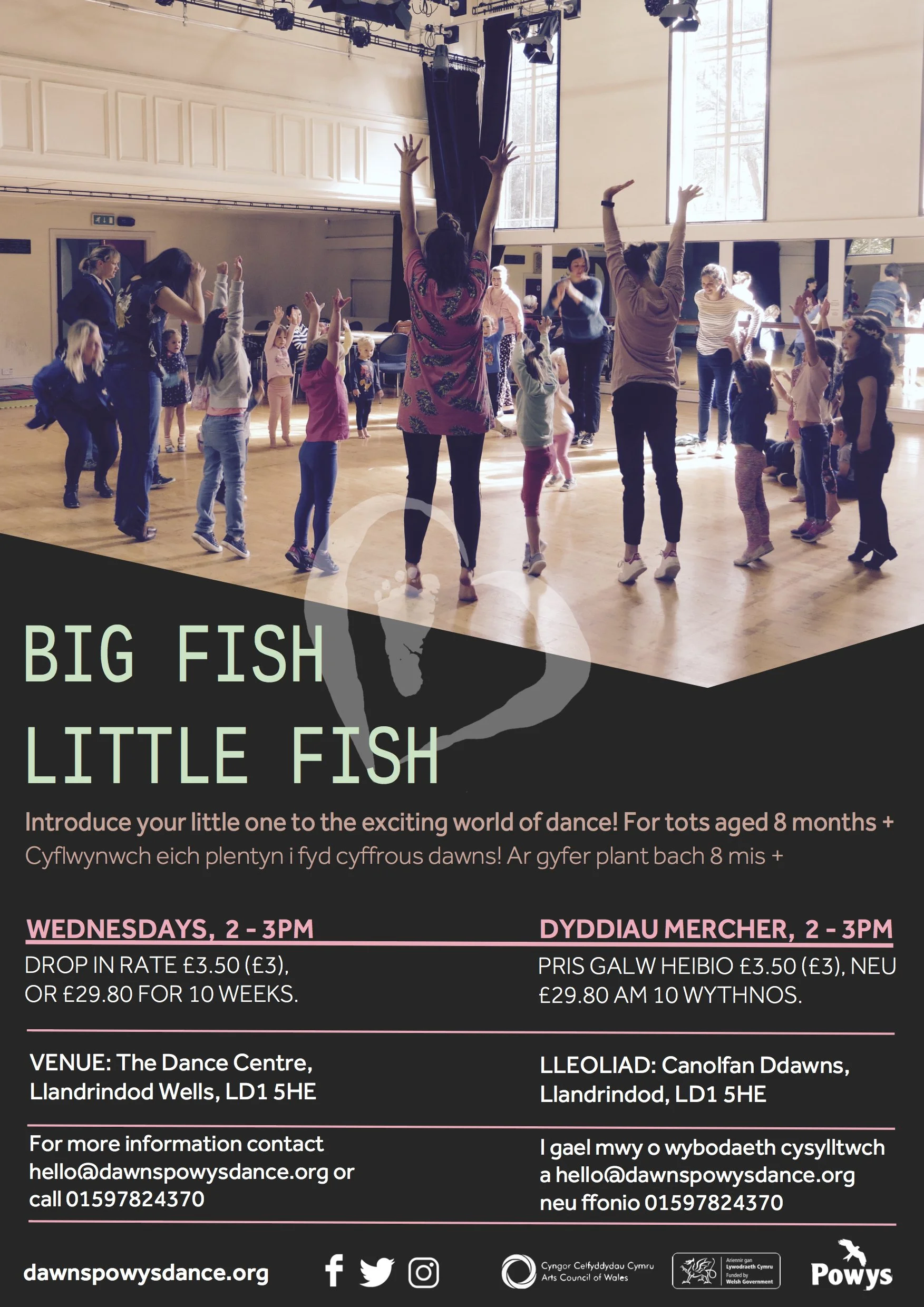BIG FISH LITTLE FISH LLANDRINDOD.jpg
