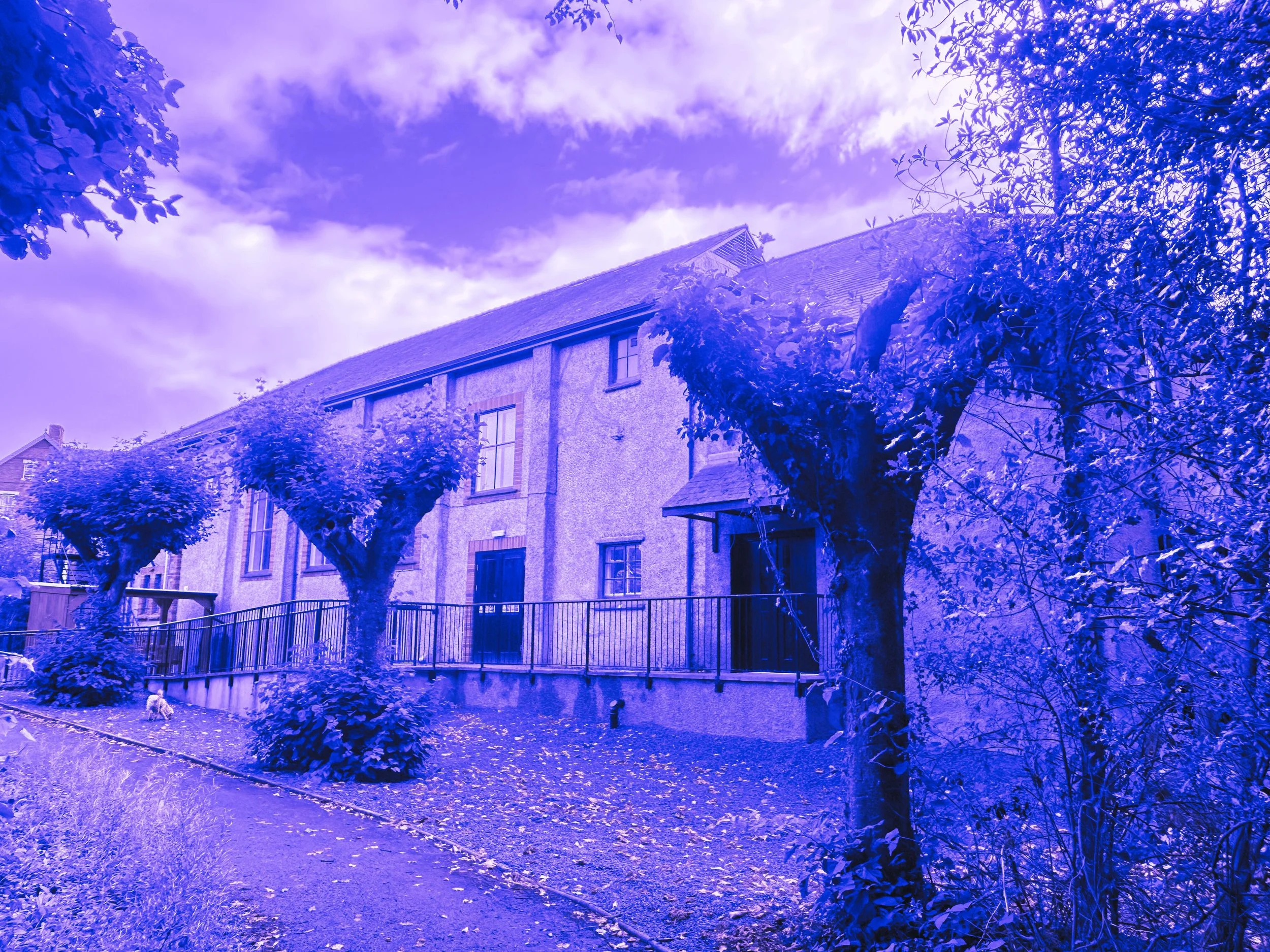 A message from our Trustees / Neges gan ein Hymddiriedolwyr