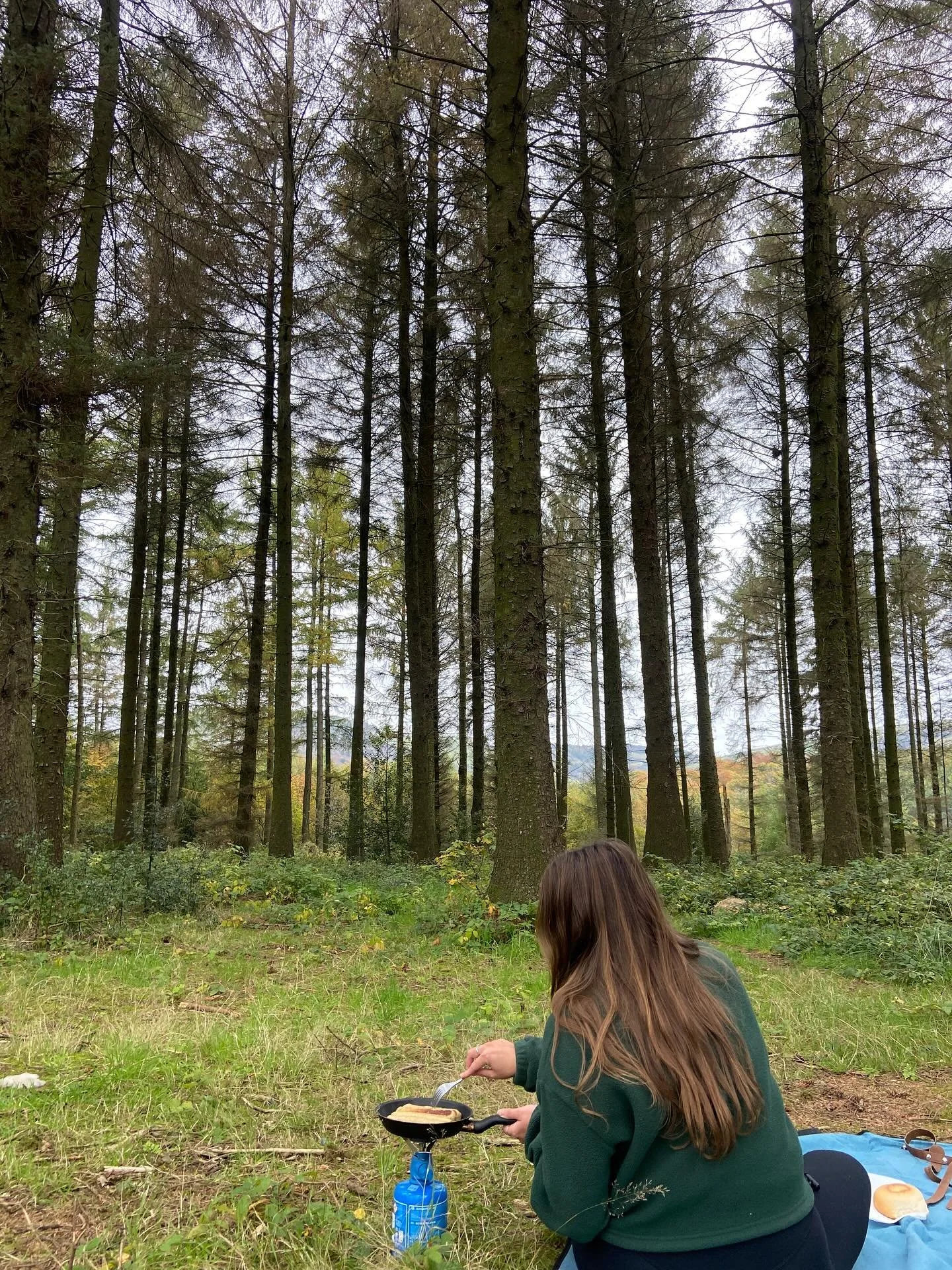 Monday Mood 🌳🍄🍄&zwj;🟫 

May your week be full of peace and little pockets of Autumnal magic 🪄 (even if that&rsquo;s just scrolling through these pictures of some recently snapped magnificent mushrooms)

I genuinely didn&rsquo;t believe these red