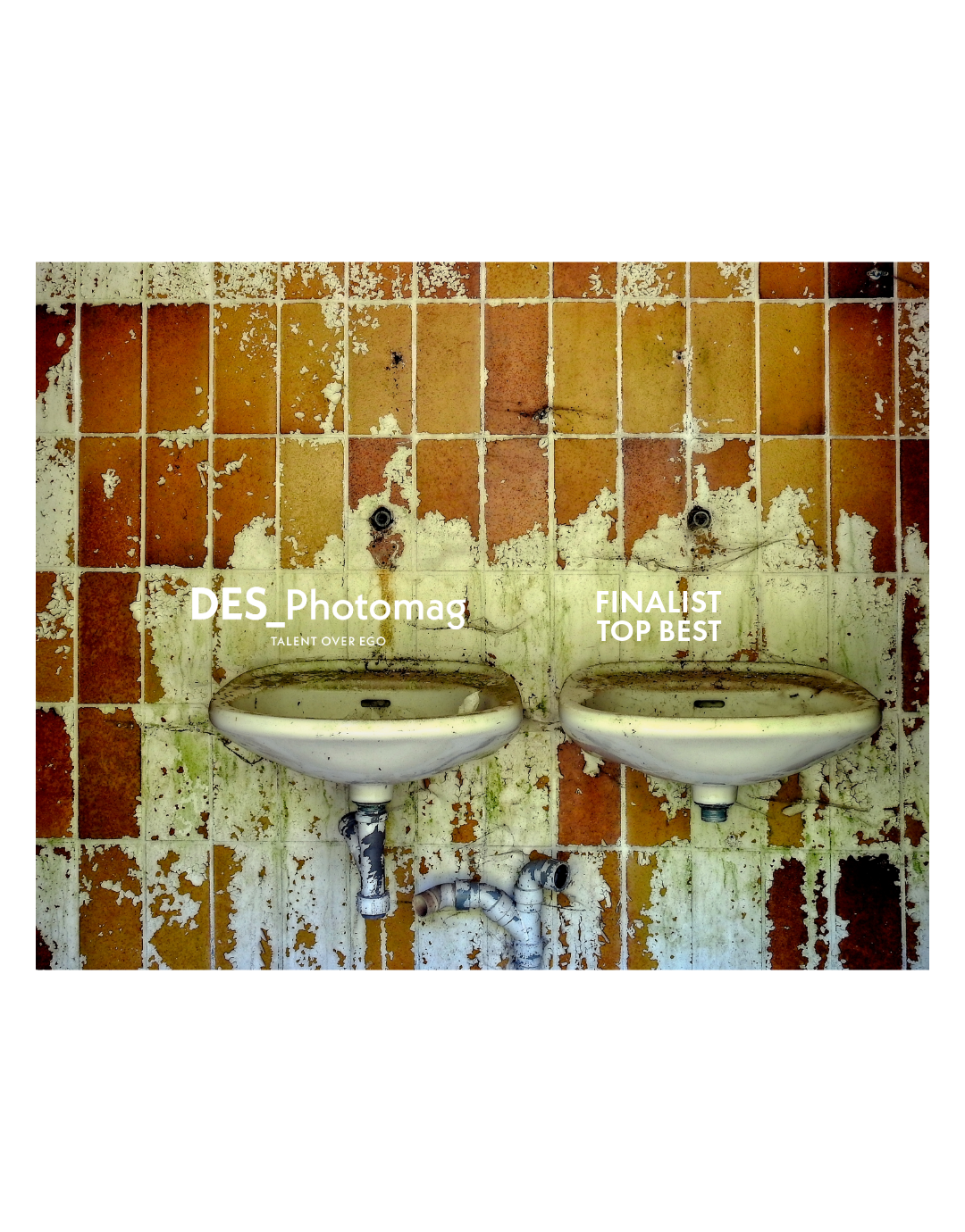 Finalist -10.2025FrankProost.png