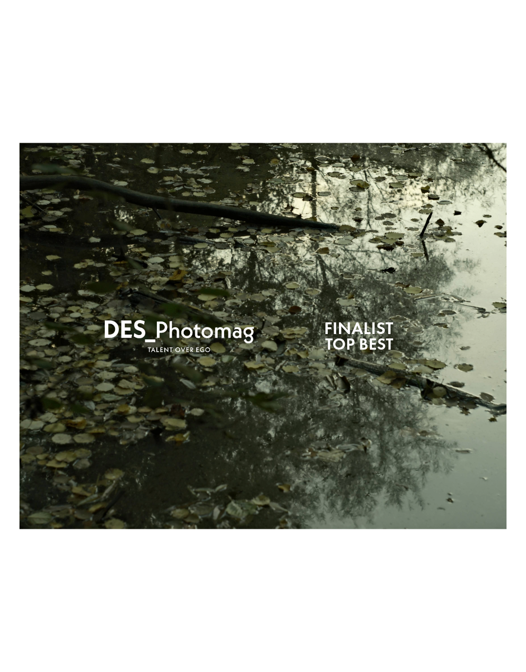 Finalist -10.2025Anne.png