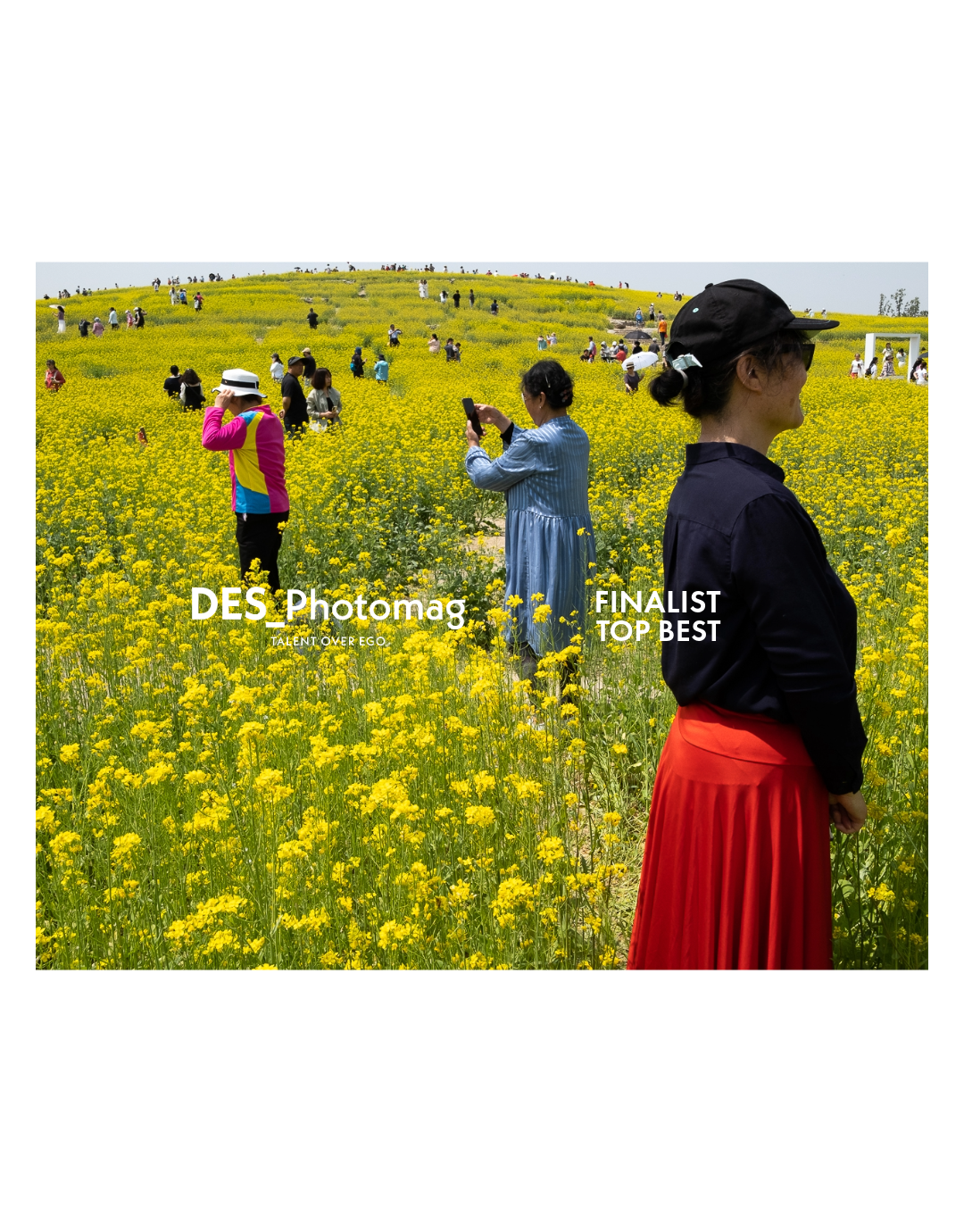 Finalist -10.2025Pelinbg.png