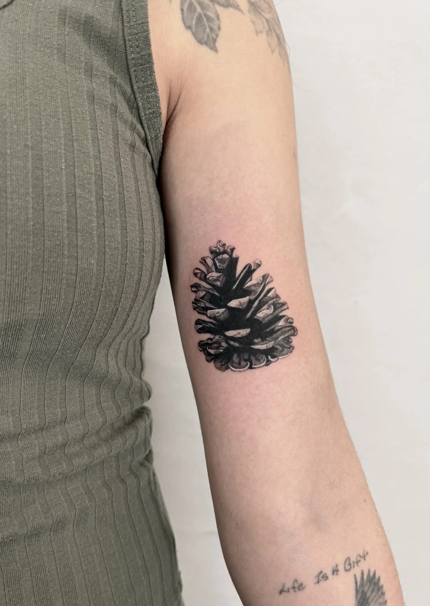 Pinecone.jpeg
