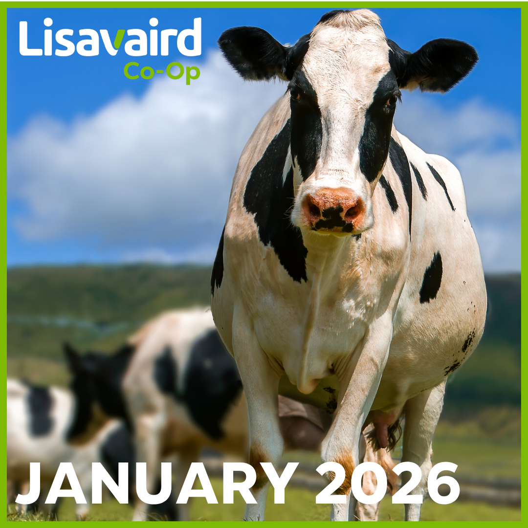 January Newsletter