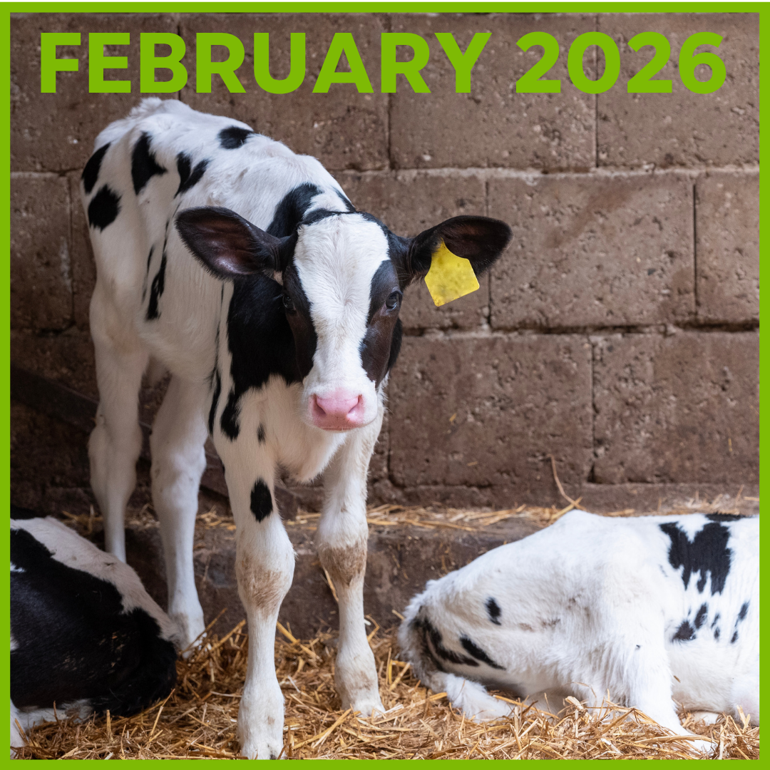 February Newsletter