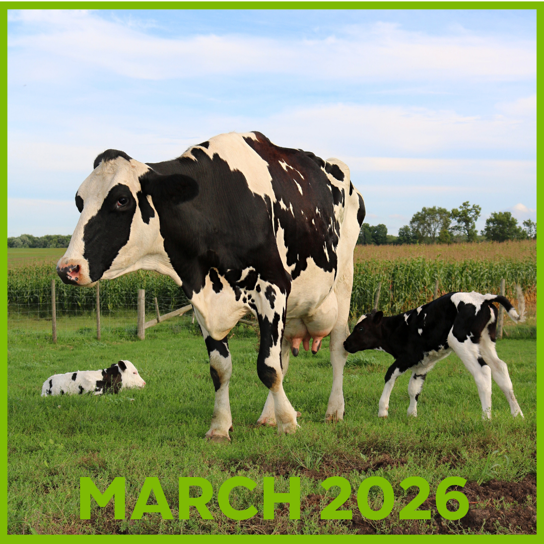 March Newsletter