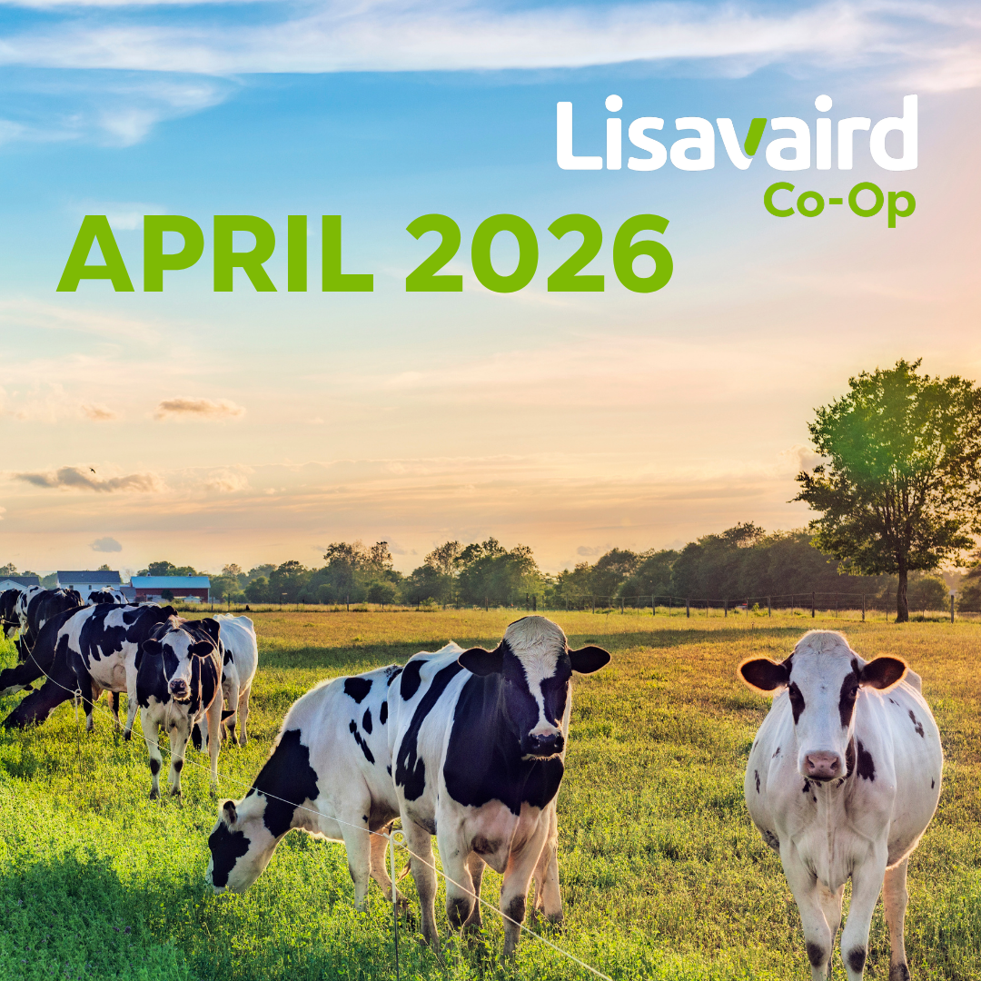 April Newsletter