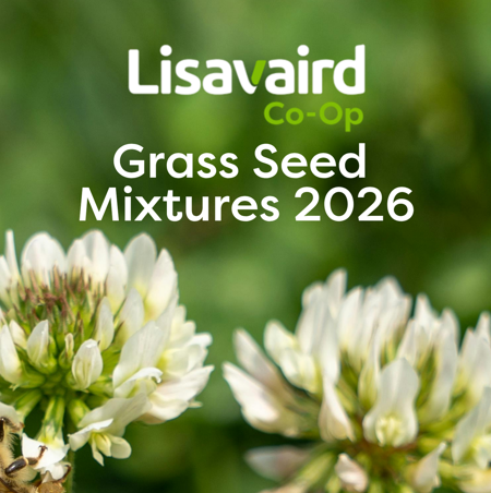 Grass Seed Mixtures 2026