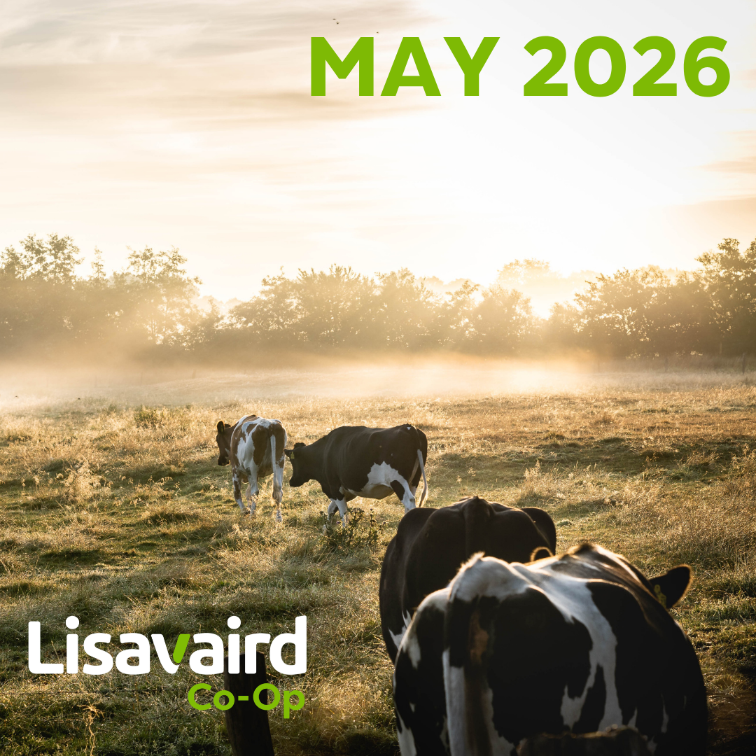 May Newsletter