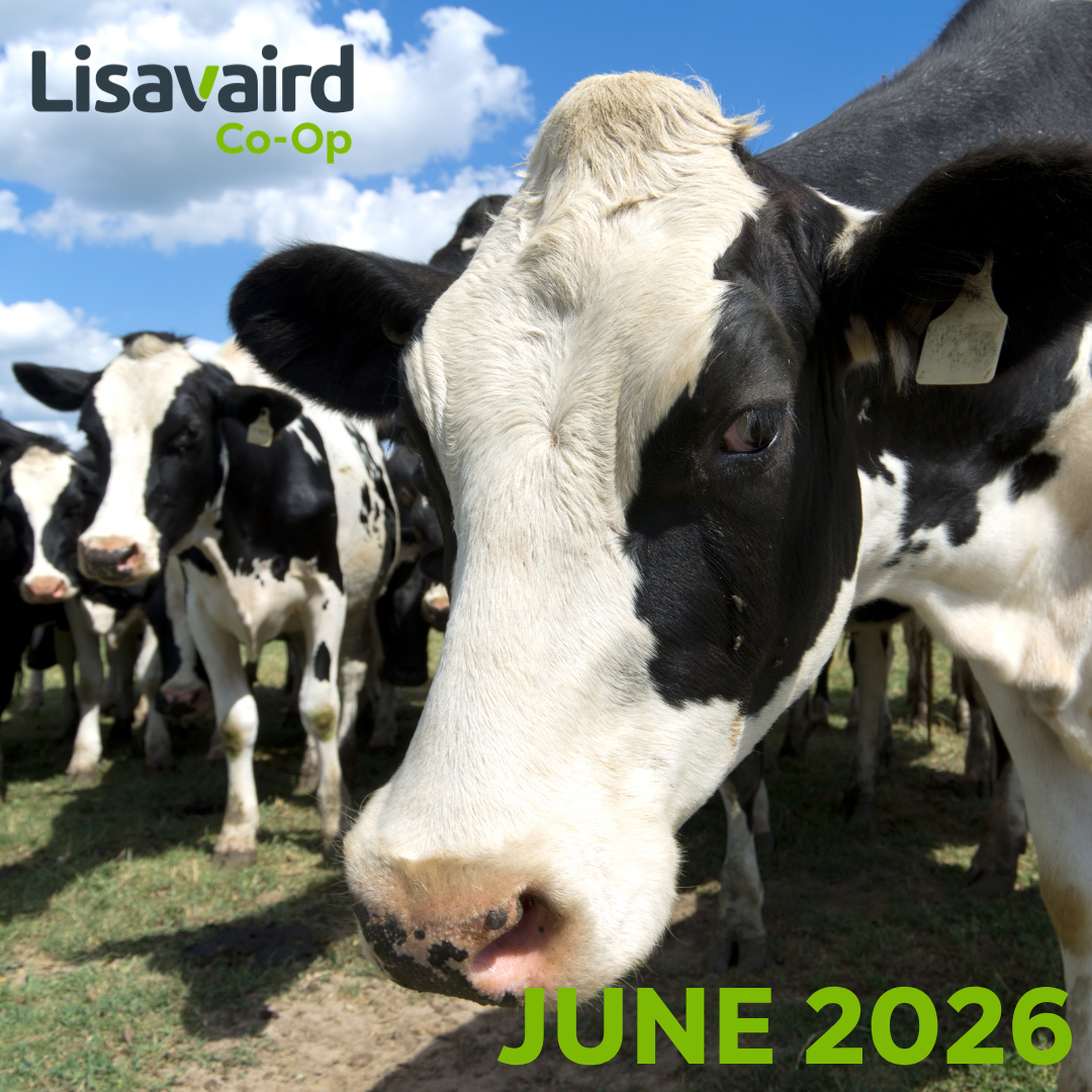 June Newsletter