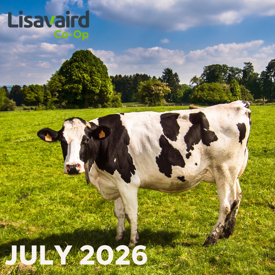 July Newsletter