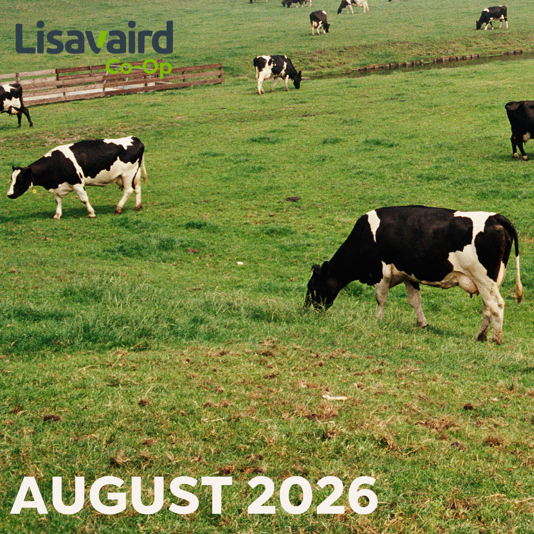 August Newsletter