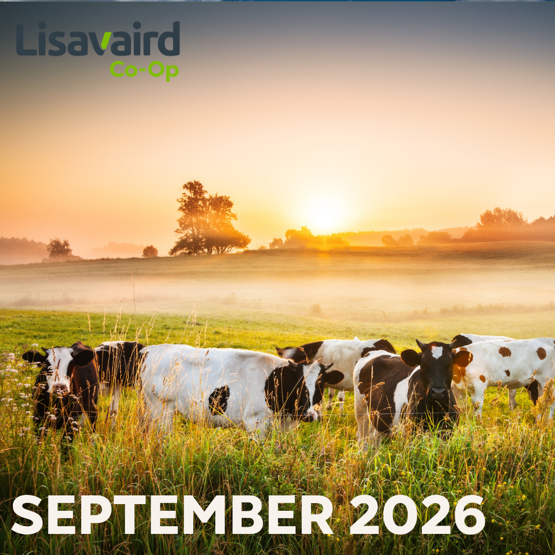 September Newsletter