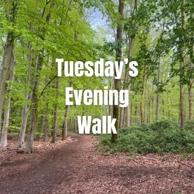 Tuesday Evening Walk -Women Only & Dogs
