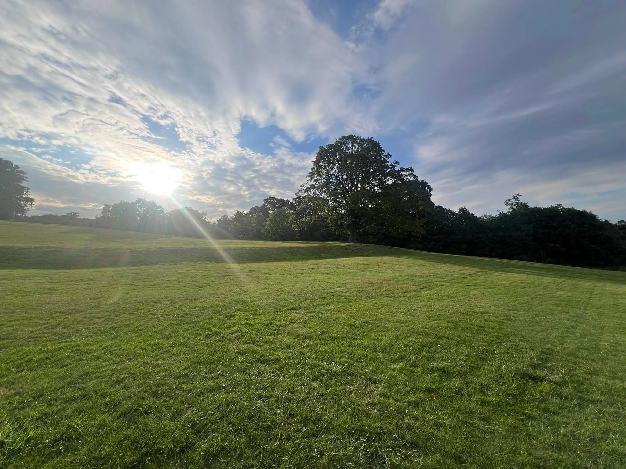 Lexden fields behind the Lexden Crown, just beautiful on our Tuesday evening walks. June 2026