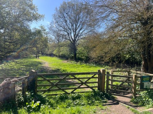 WalkNTalk Colchester