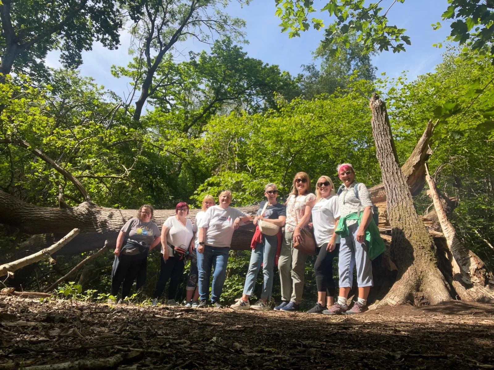 Highwoods Country Park June 2025