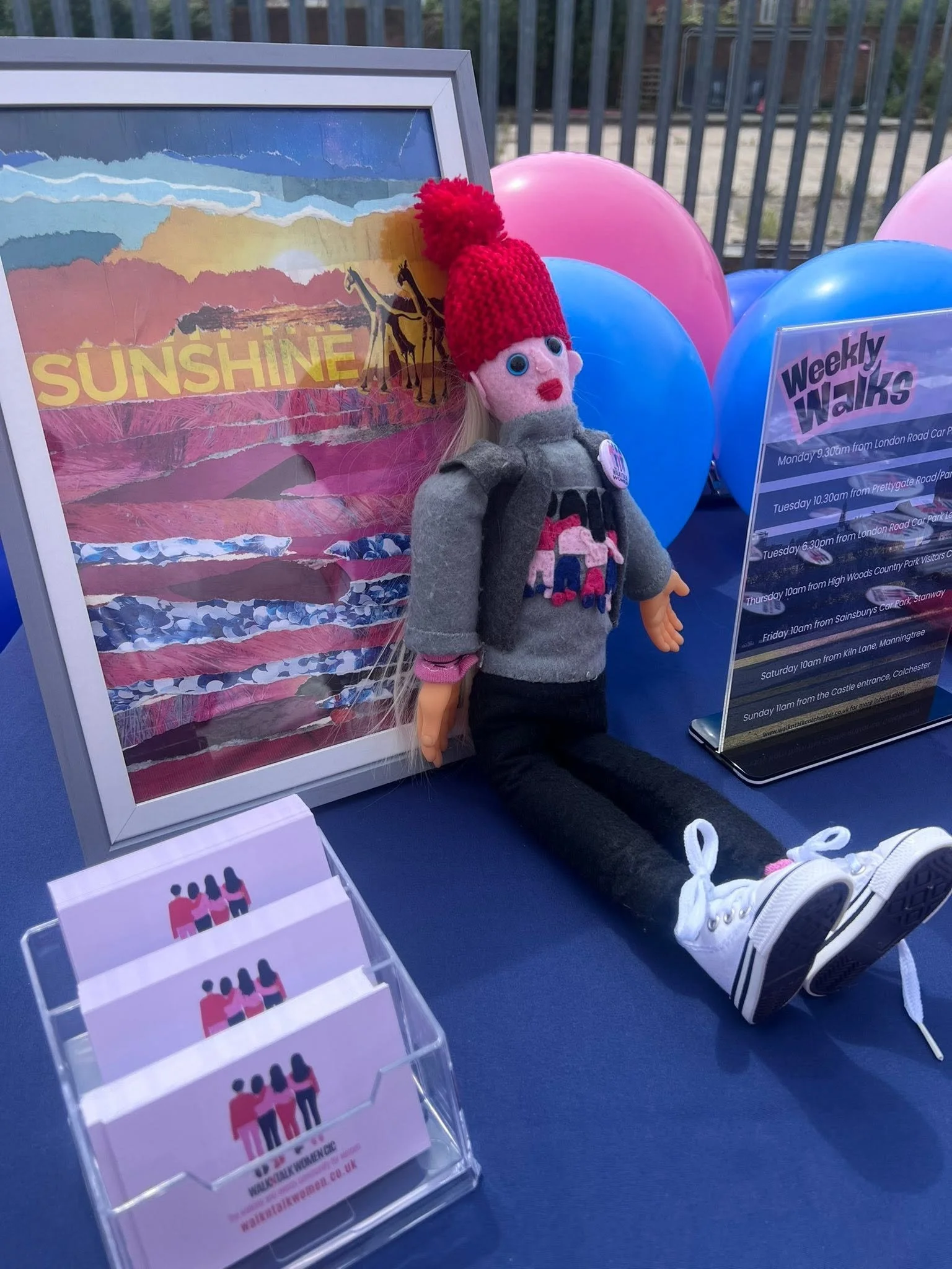 Jane, our mascot which was kindly made by one of our walk leaders, Elaine.