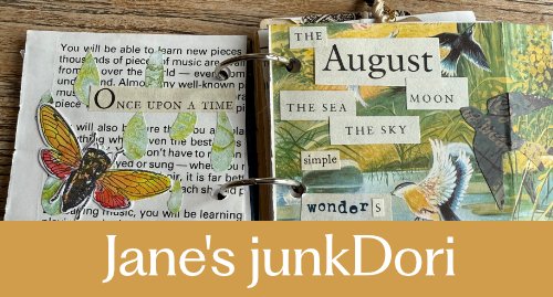 Jane's junkDori