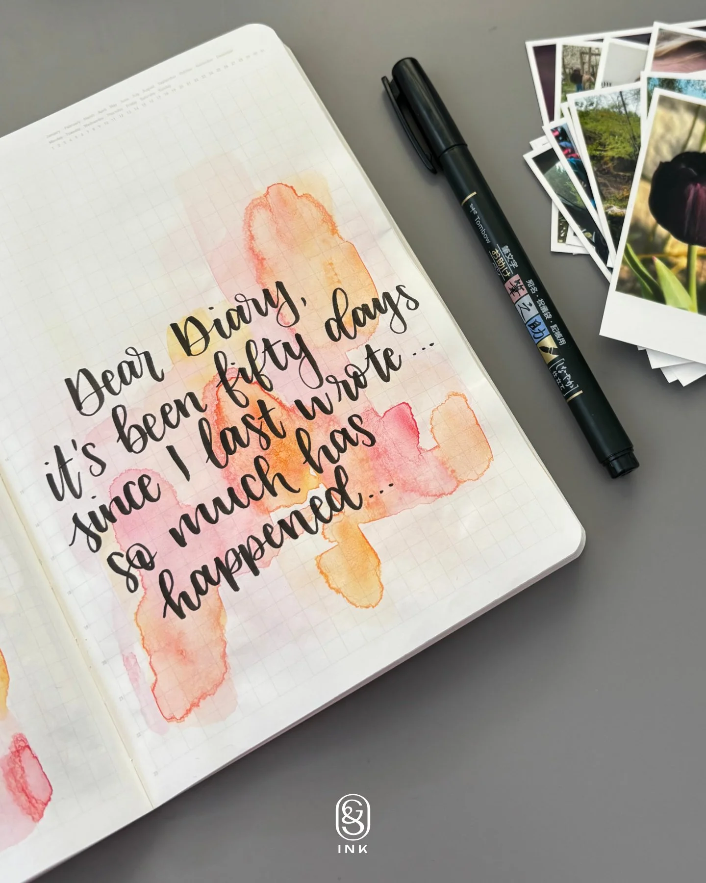 A journal lies open on a grey desk, with a pile of photos and a pen next to it. On the journal page is written "Dear Diary, it's been fifty days since I last wrote... so much has happened..."