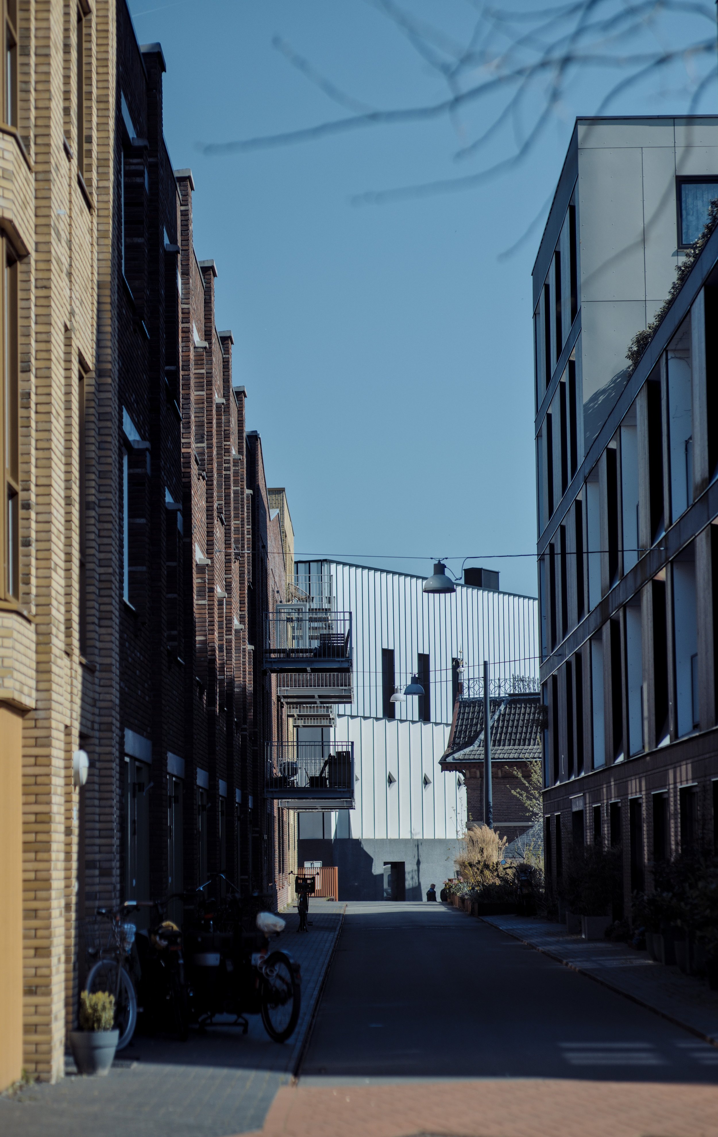 20250403_5146x7990_20250403_0266 copy.jpg