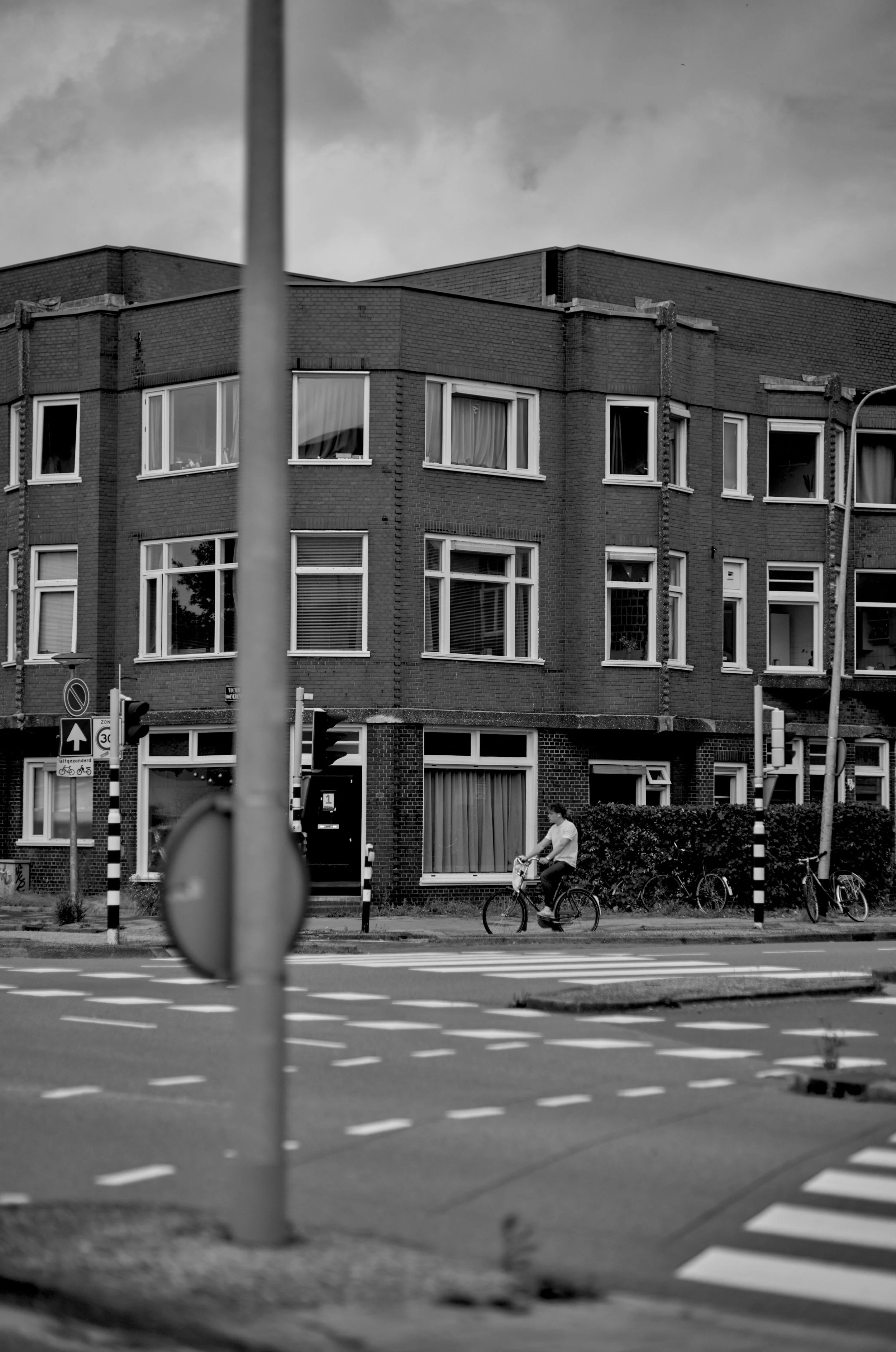 20250629_5398x8147_20250629_0325 copy.jpg