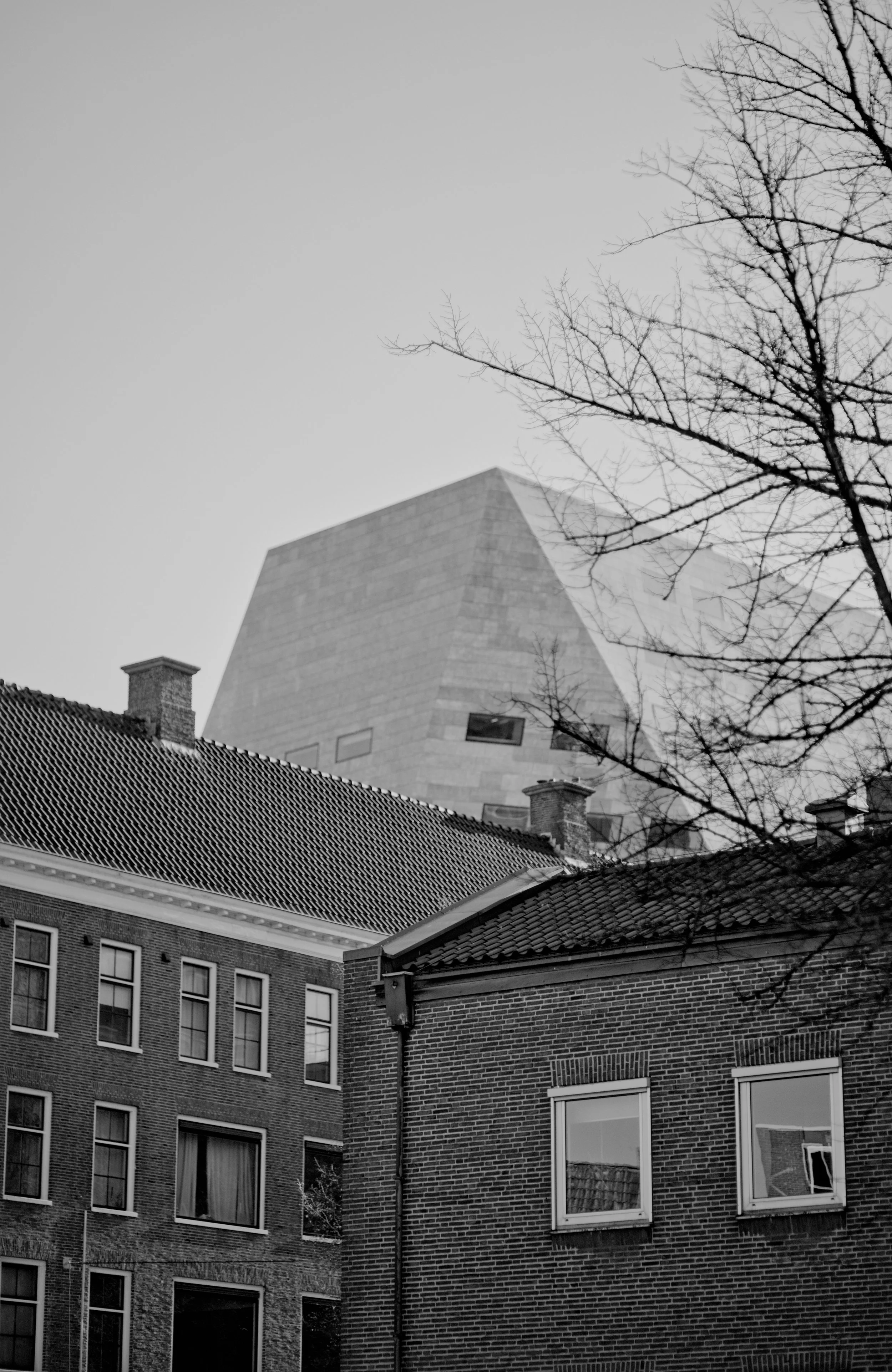 20250404_5222x8036_20250404_0174 copy.jpg