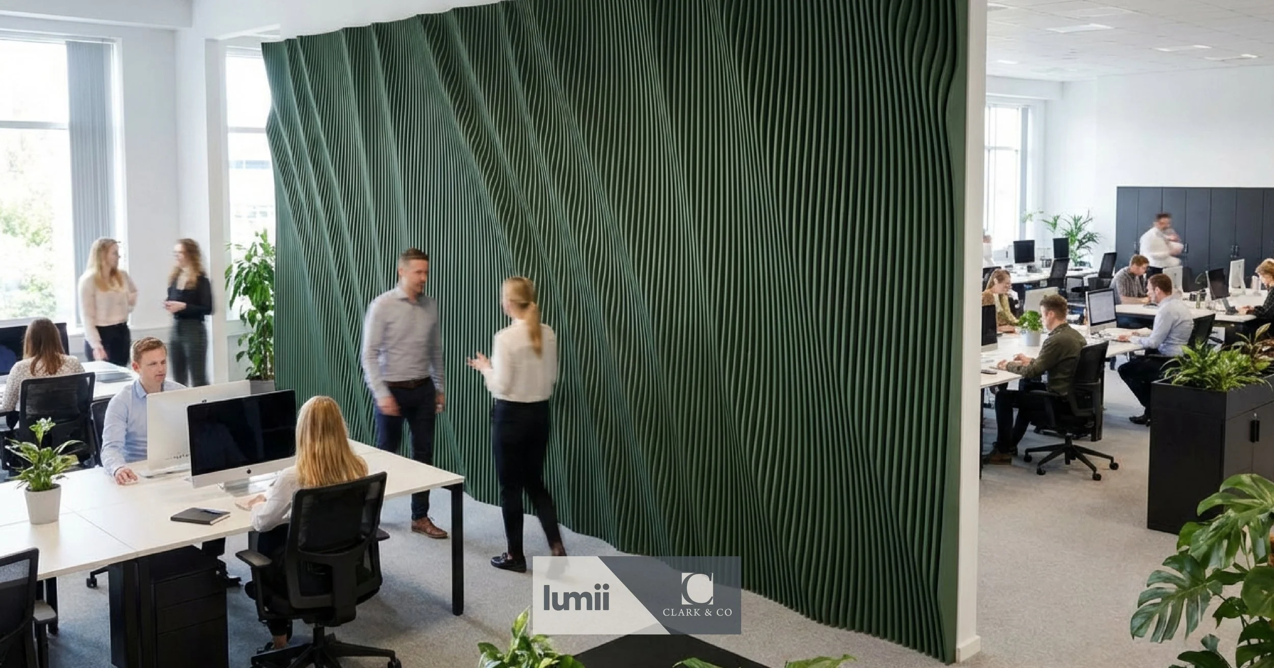 Clark & Co X Lumii Design