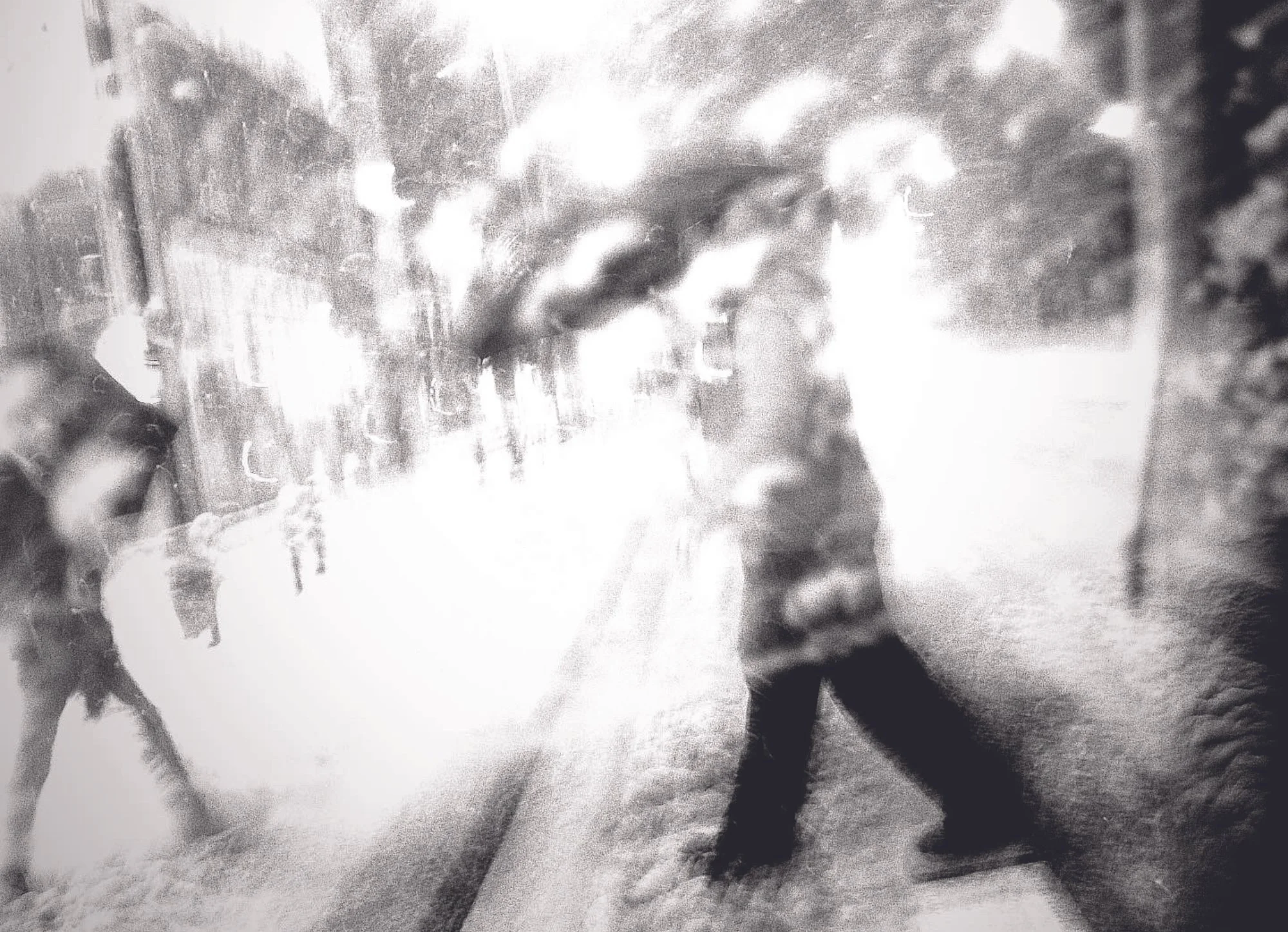 spread-snow_1_1.jpg