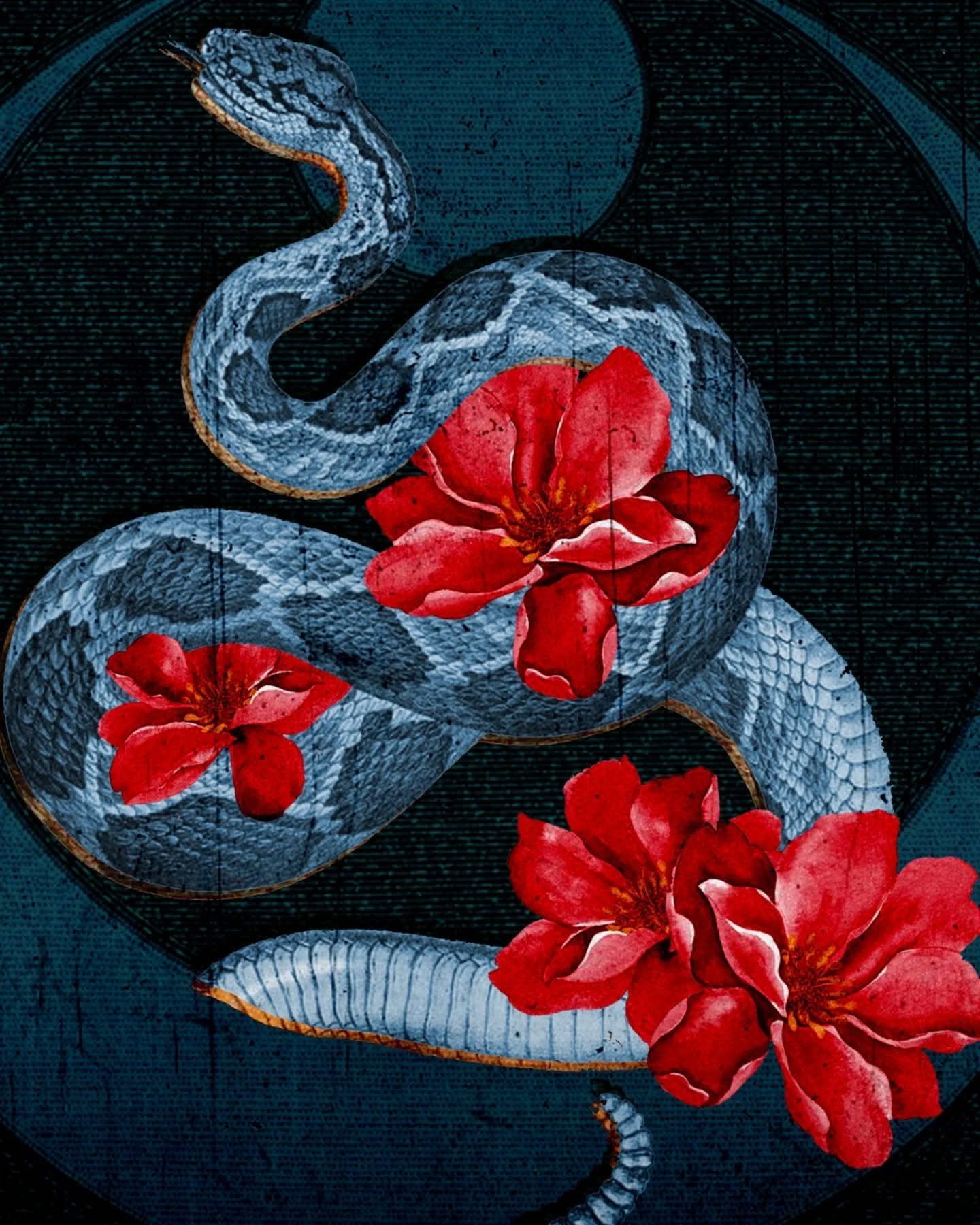 New music landing this Friday 🌙

Following up his super-funky debut Radiance, Ukrainian powerhouse @crucifymednb returns to Soulvent with Luna

We&rsquo;ve been blown away by the response so far &mdash; huge thanks to the DJs, producers and legends 