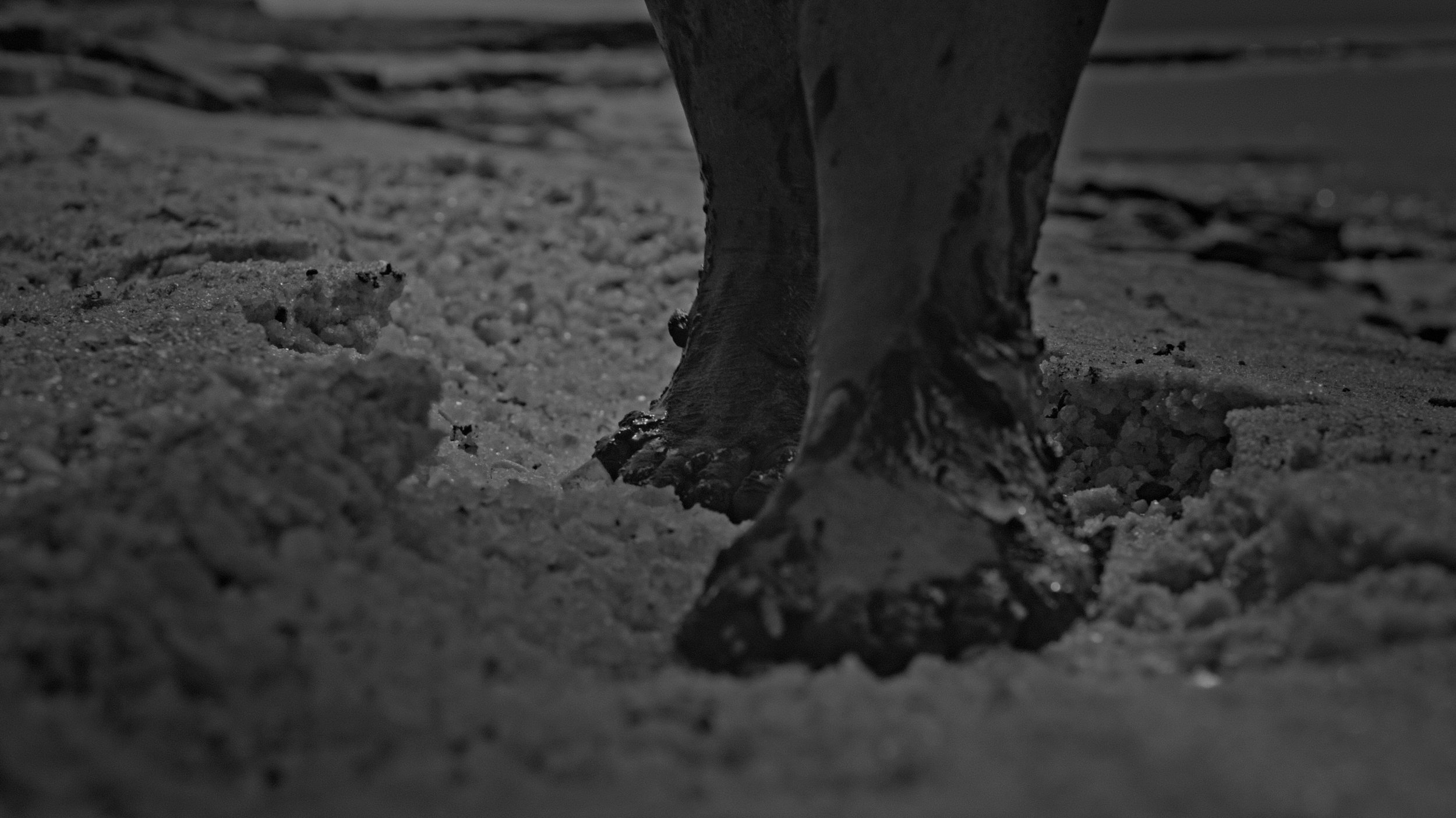 Celik_Haba_03_courtesy_sixpackfilm.jpg