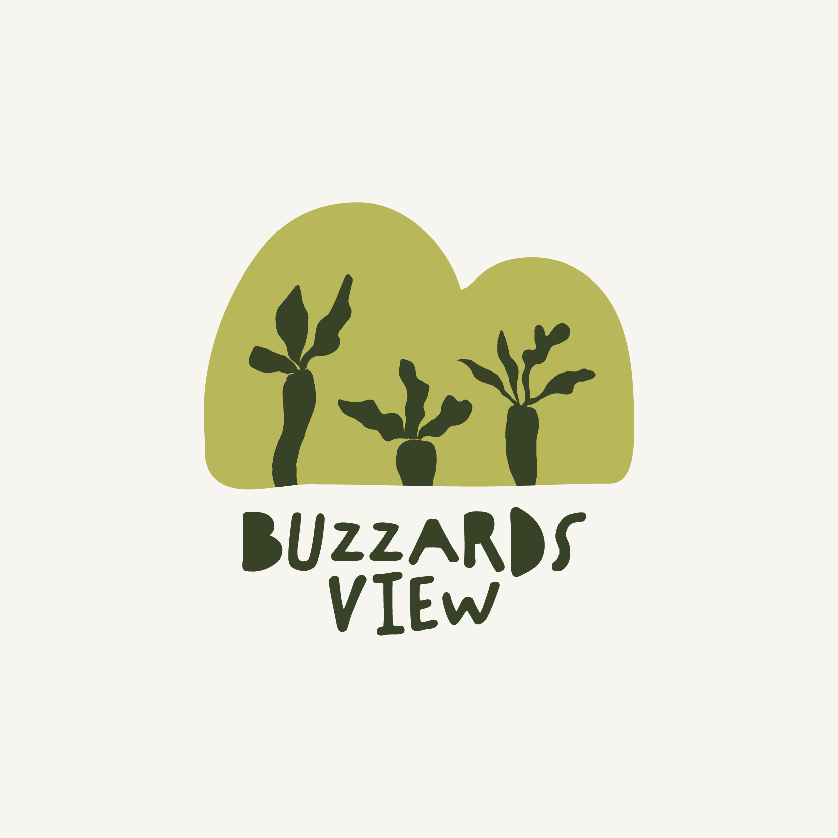 Buzzards View