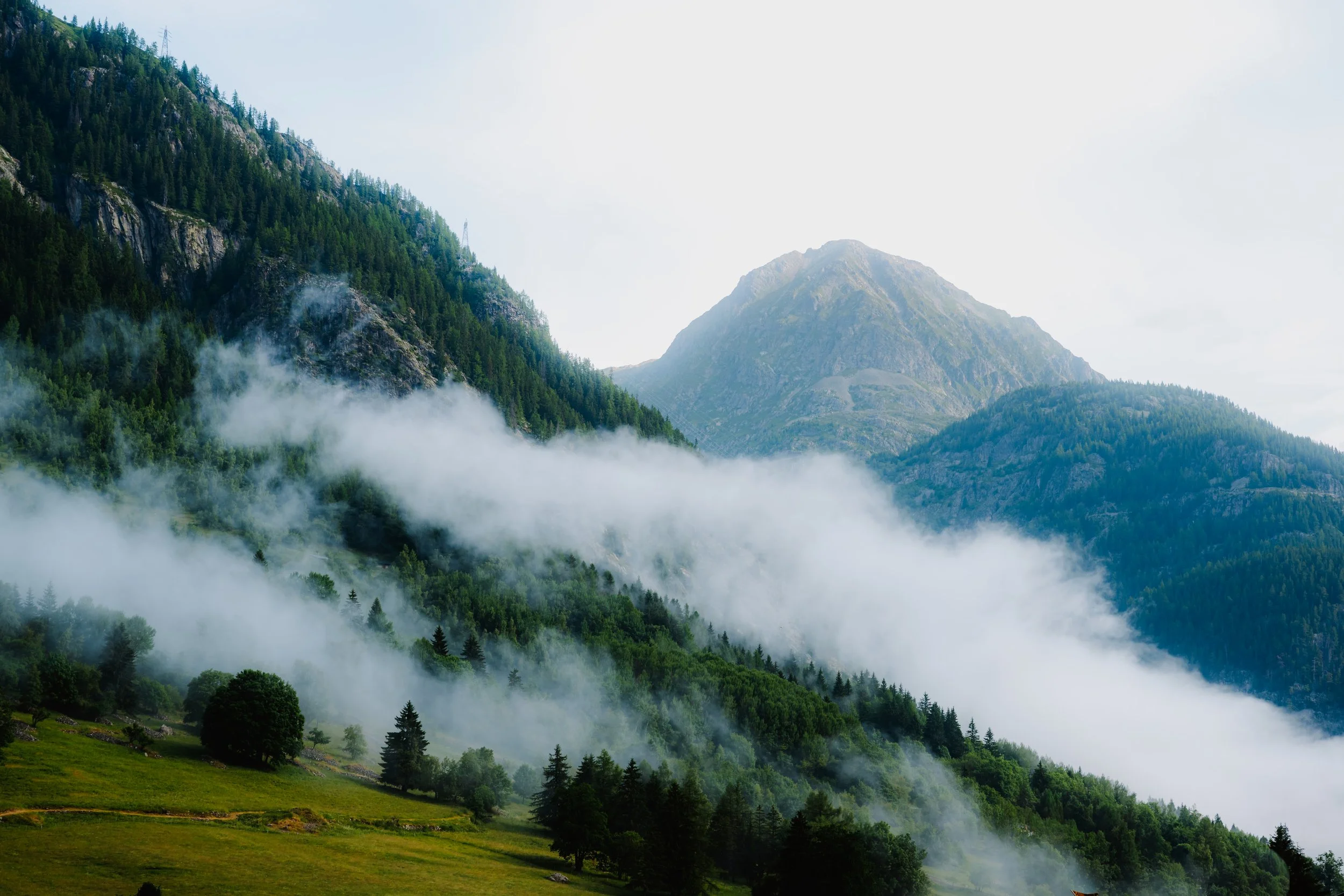 Mountain landscape with forested slopes and a layer of fog or low clouds in the valley.