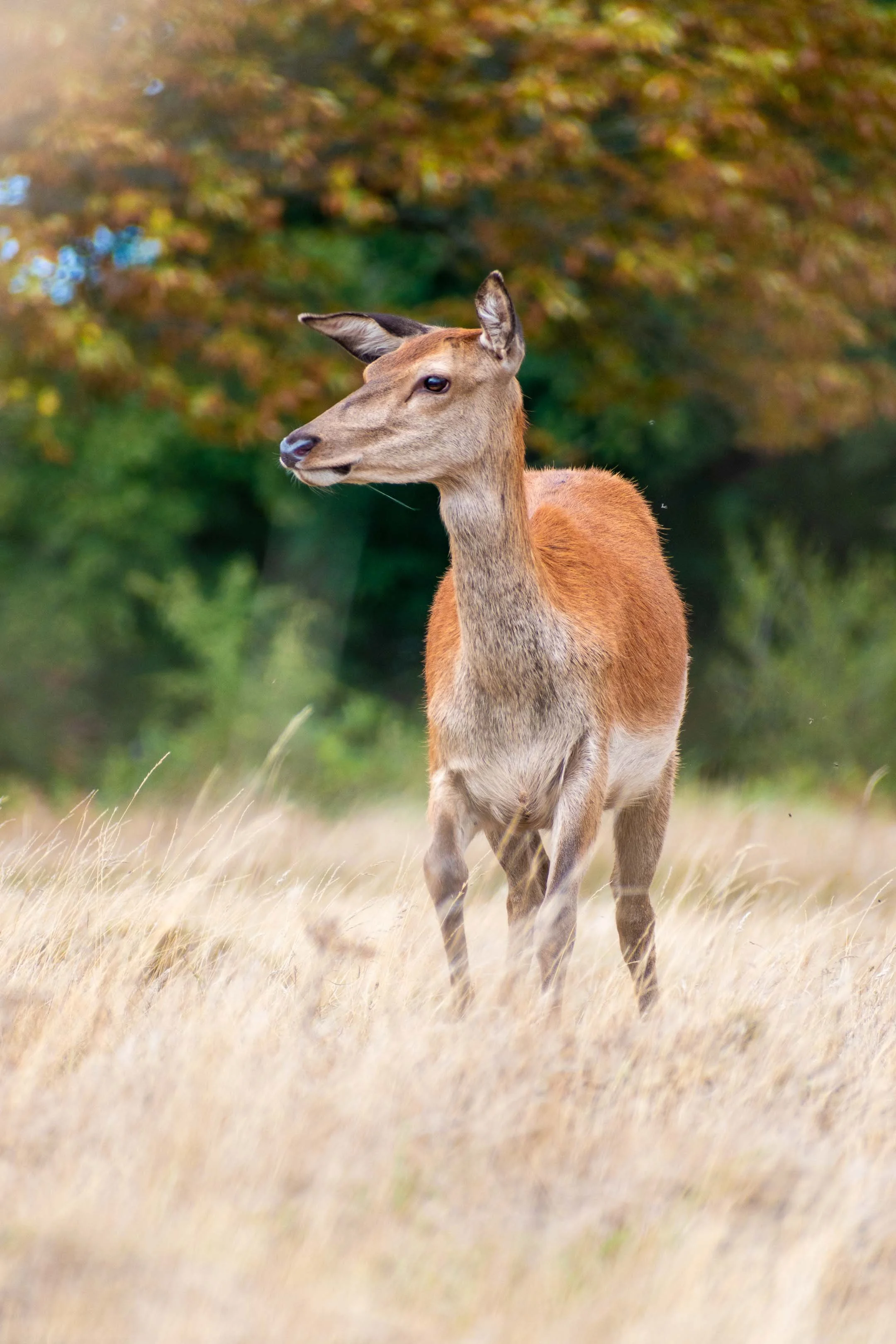 20200823__Nathan Phua_0024.jpg
