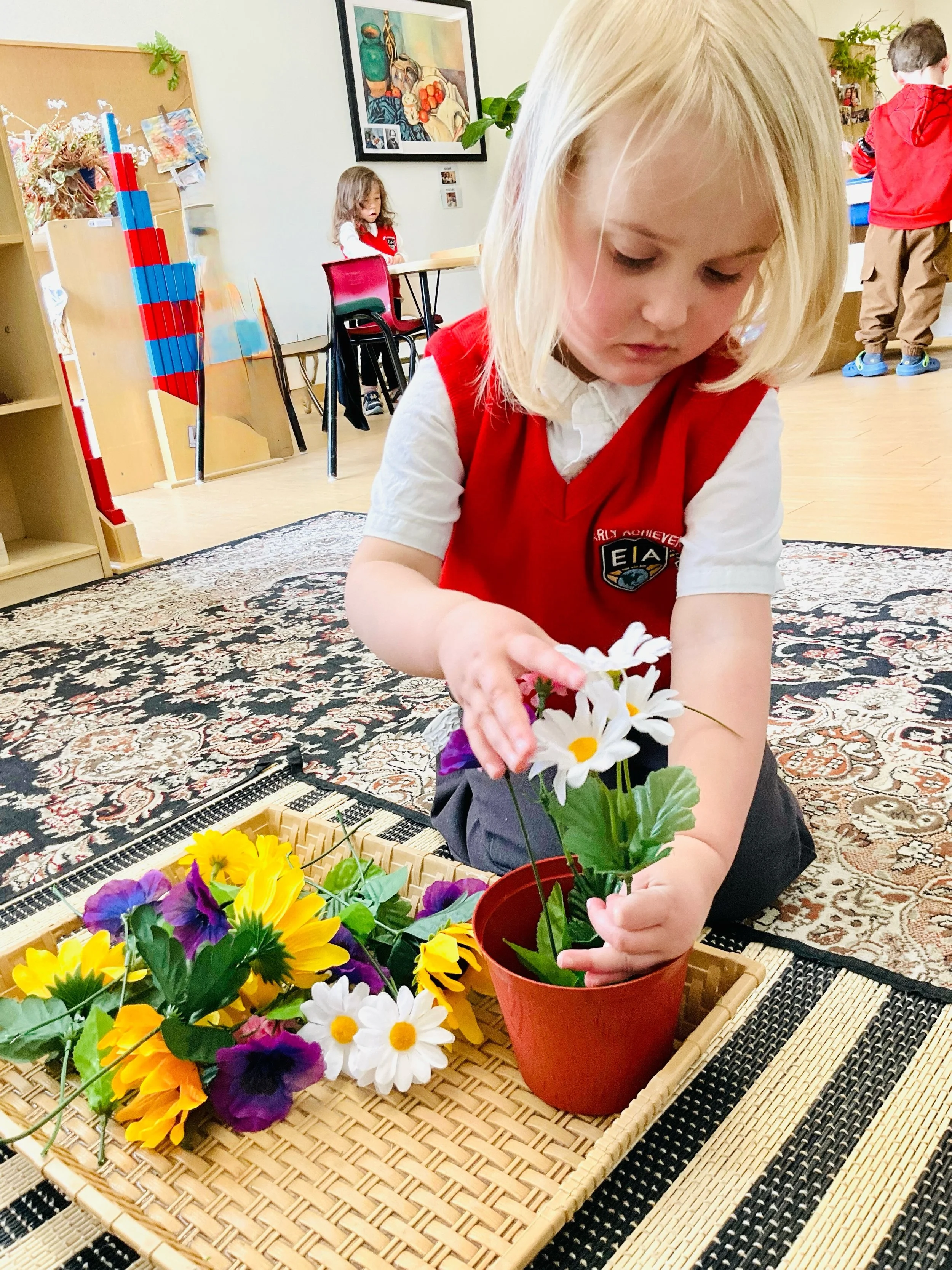 Spring has arrived at Early Achievers. 🌸☀️

In our Practical Life and Botany curriculum, children are immersed in hands-on experiences that build focus, independence, and a deep respect for the natural world &mdash; all through calm, purposeful lear