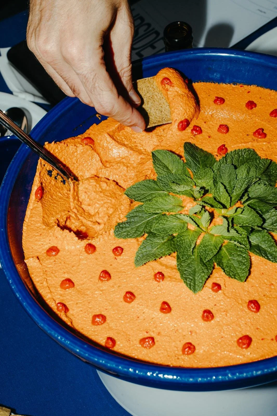 Cocina Libanesa + Degustación
