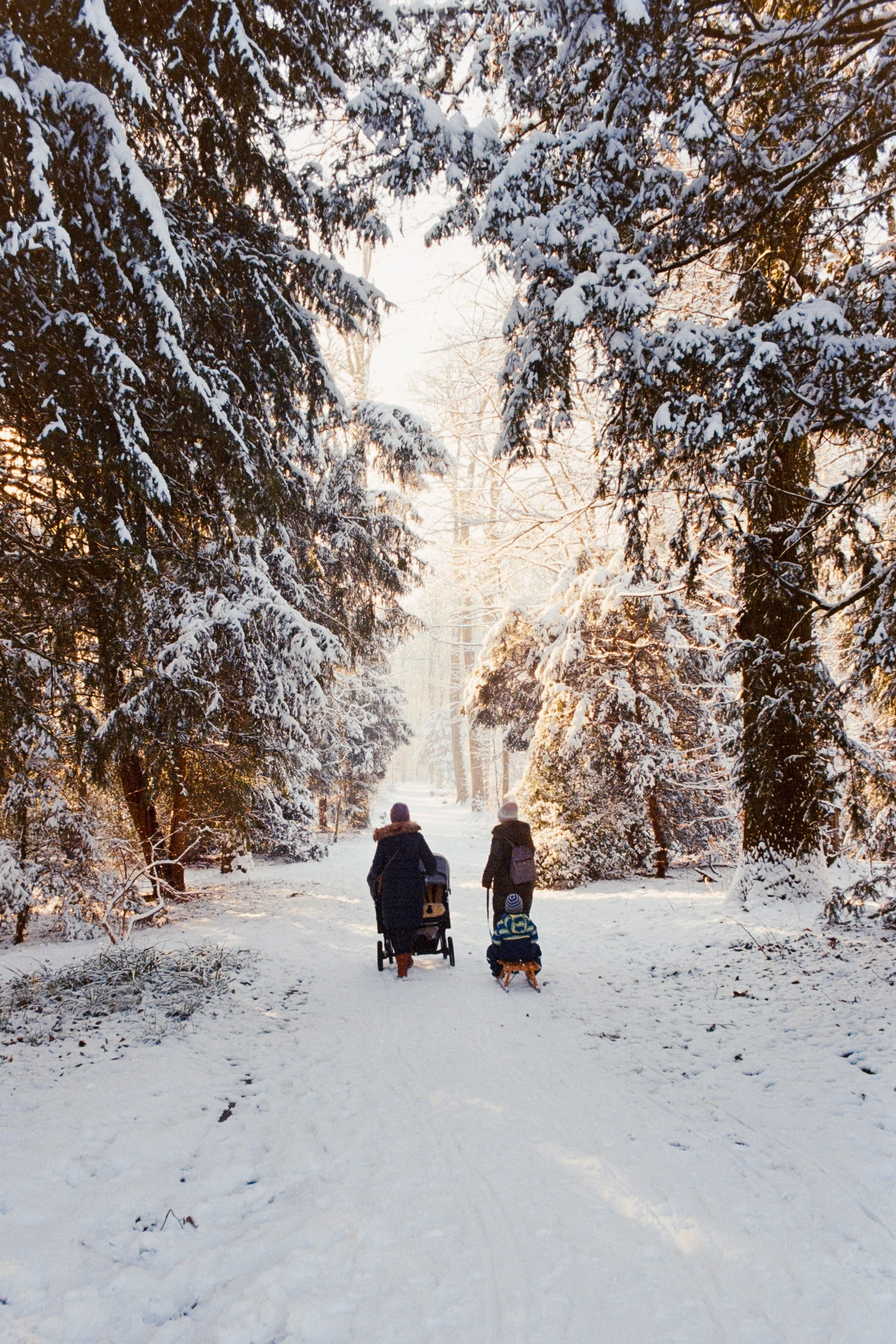 Fine art travel photography of a snowy path in Schloss Benrath Park, Düsseldorf, Germany, featuring two adults walking with a stroller and a child on a sled, surrounded by snow-laden trees.