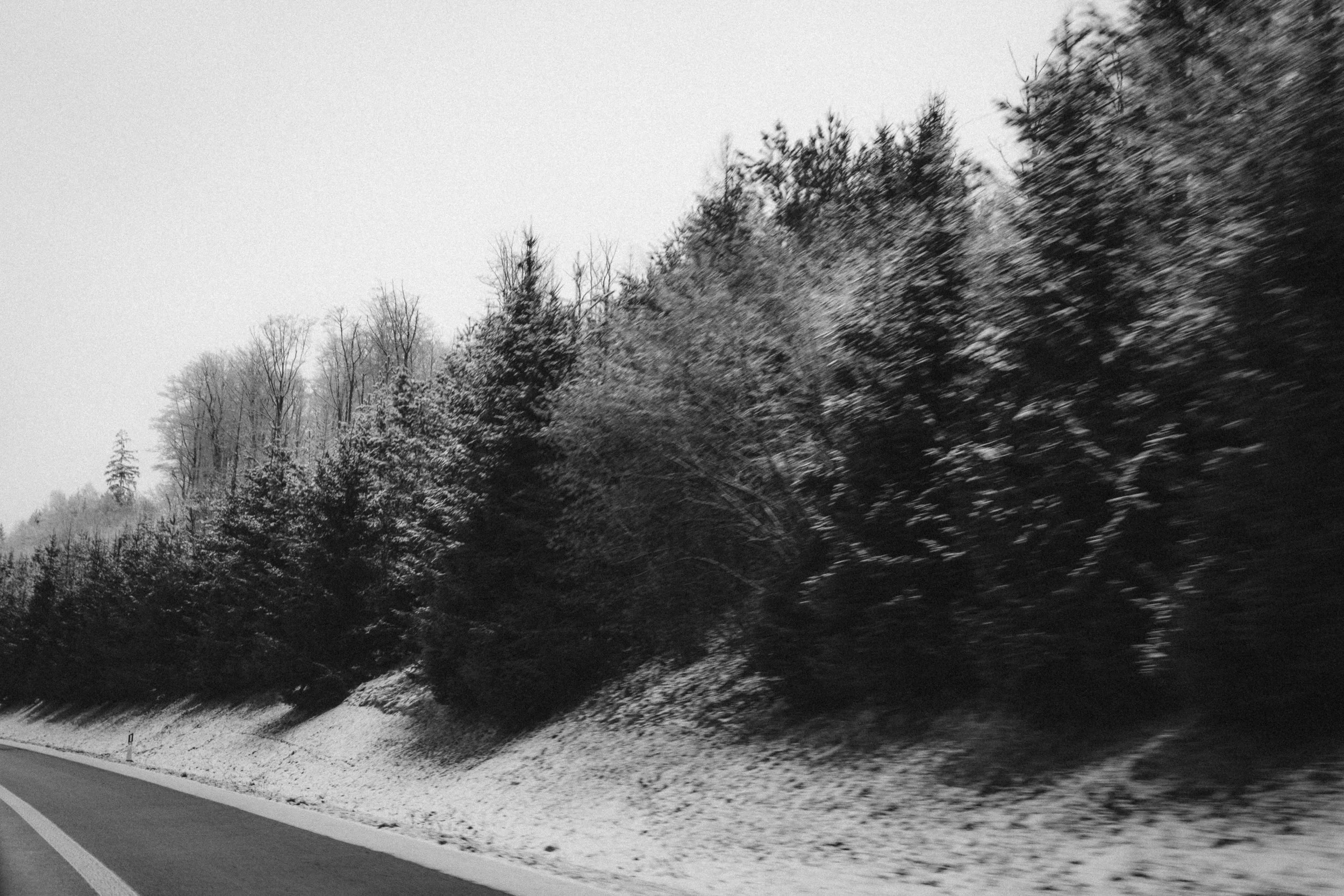 Fine art black and white photograph of a snow-dusted forest lining a quiet road in Winterberg, Germany. Captures the stillness of a winter landscape with a mix of evergreen and bare trees under a pale sky, evoking a serene and natural aesthetic.