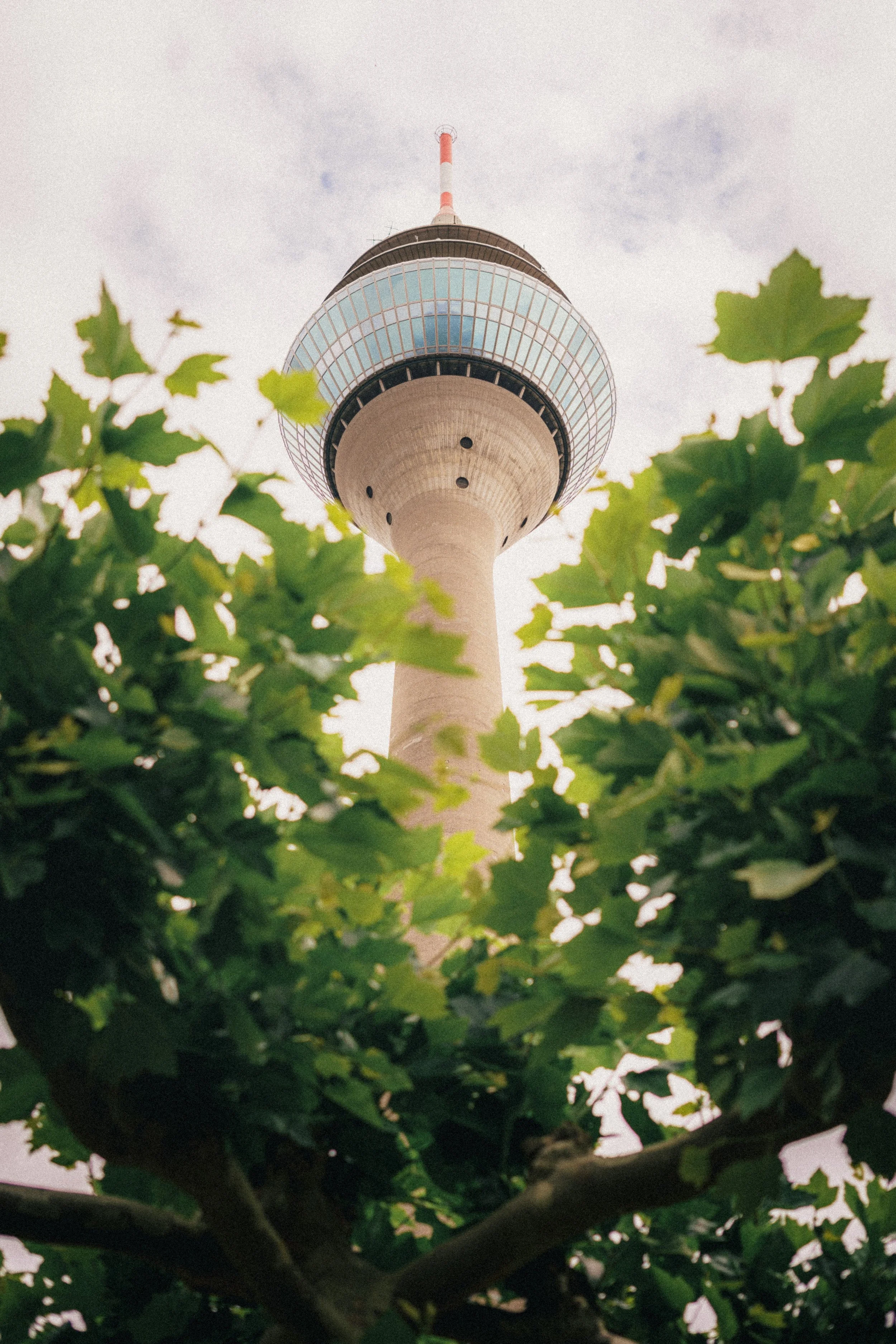 Fine art photography of the Rheinturm in  Düsseldorf, Germany. We can see the tower from a low angle framed between the green tree leaves.