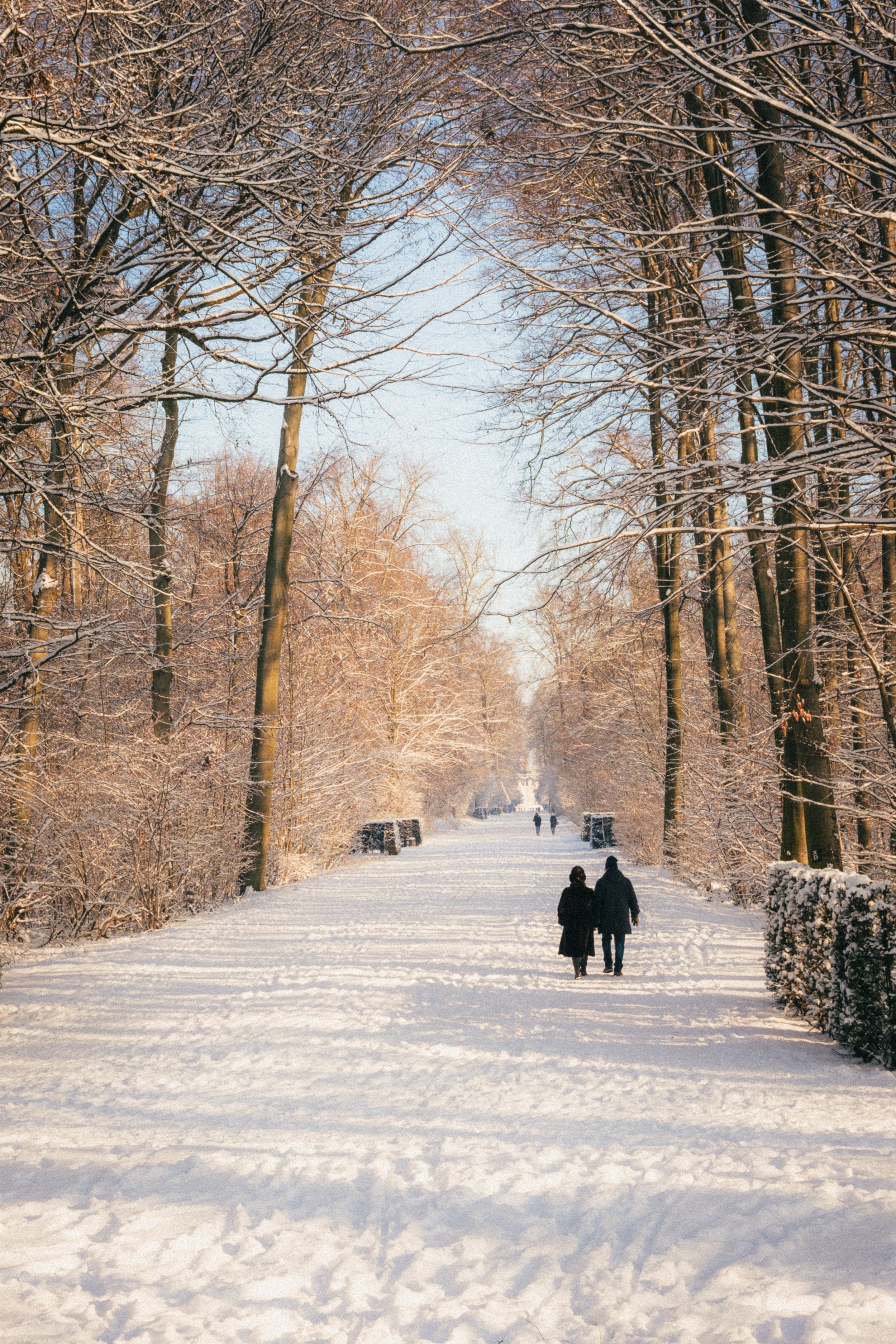Fine art travel photography of a snow-covered path in Schloss Benrath Park, Düsseldorf, Germany, with a couple walking under a canopy of winter trees.