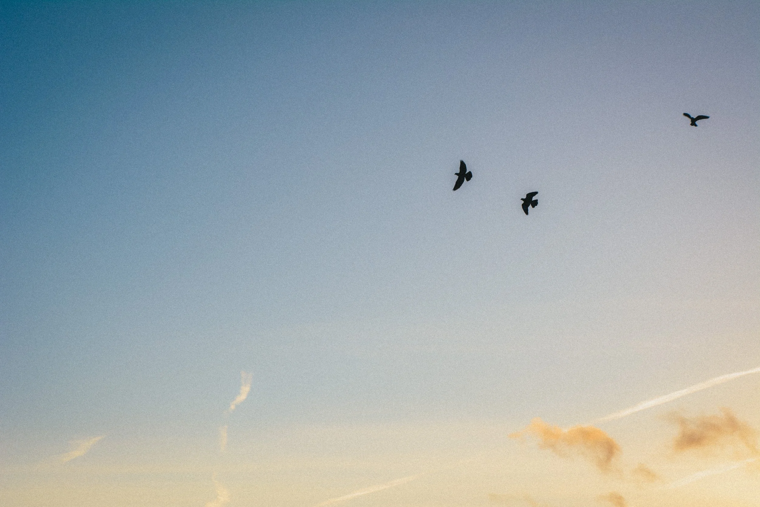 A serene sky in Ericeira, Portugal, at sunset, featuring soft hues of blue and orange with scattered clouds. Three birds are captured mid-flight, silhouetted against the gradient sky, creating a sense of tranquility and freedom.