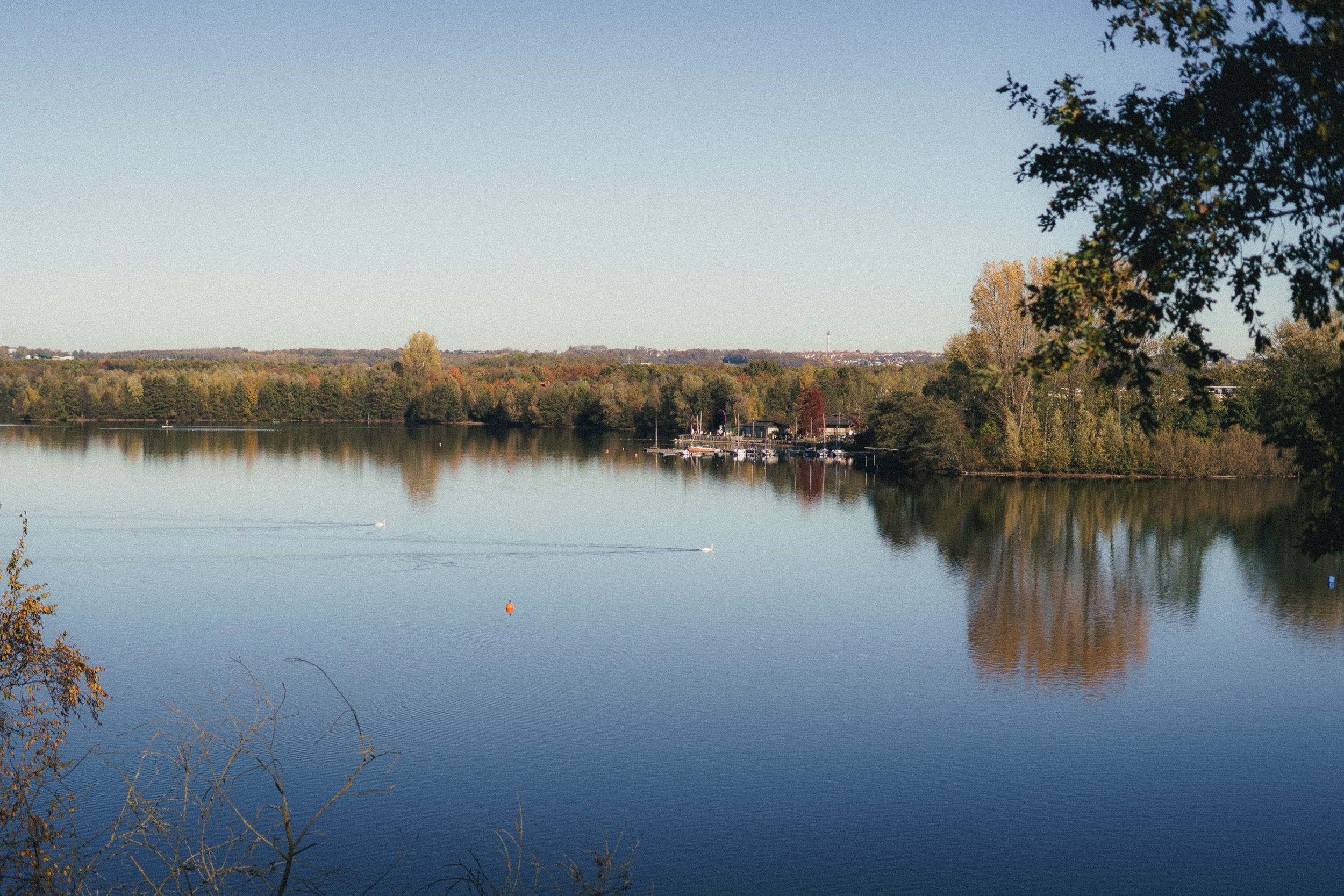 Fine art landscape of the Unterbacher See in Düsseldorf, with the blue sky and blue water, the green forest separating them and a tree on the right.