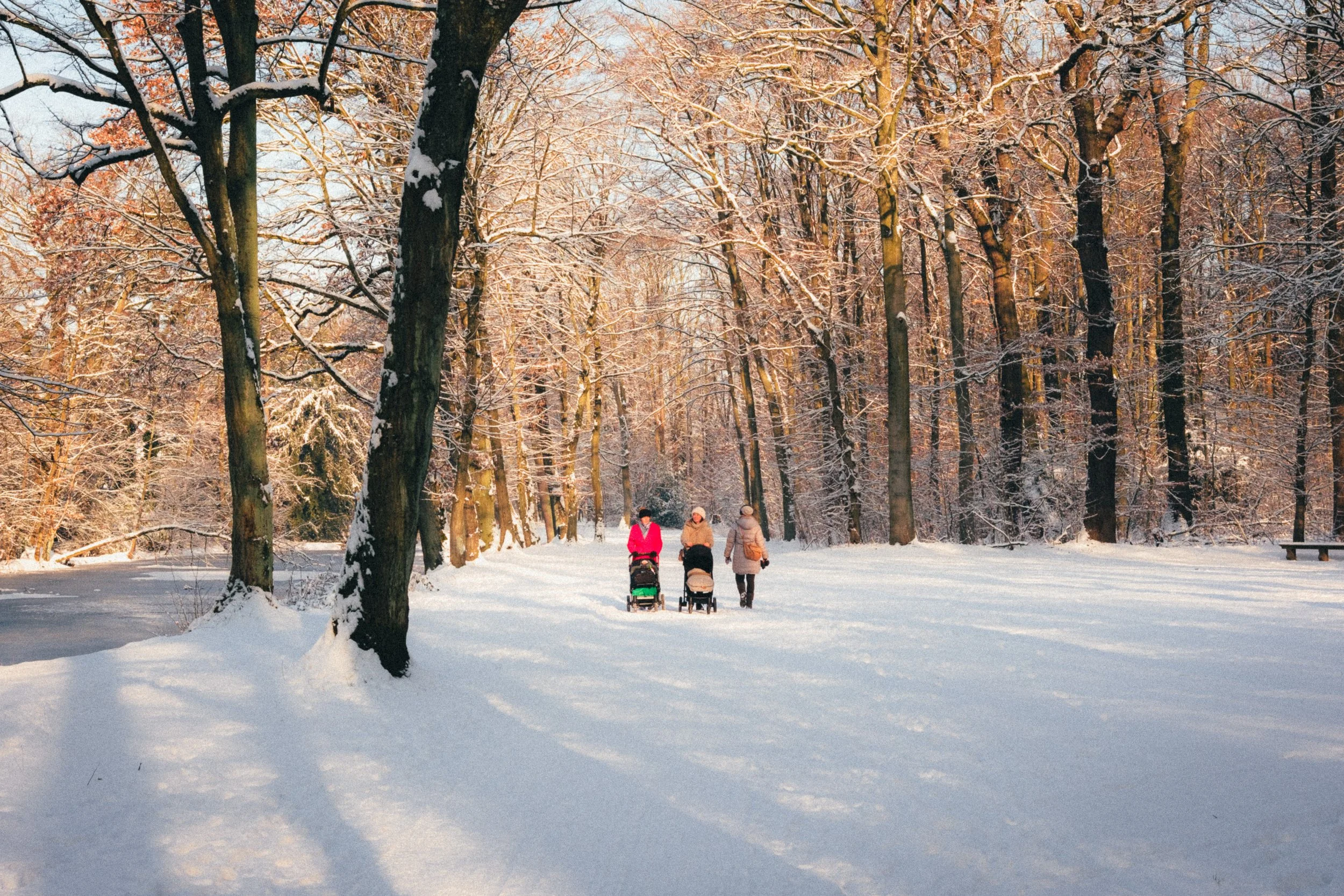 Fine art travel photography of three women walking with strollers along a snowy path in Schloss Benrath Park, Düsseldorf, Germany, surrounded by winter trees and soft sunlight.