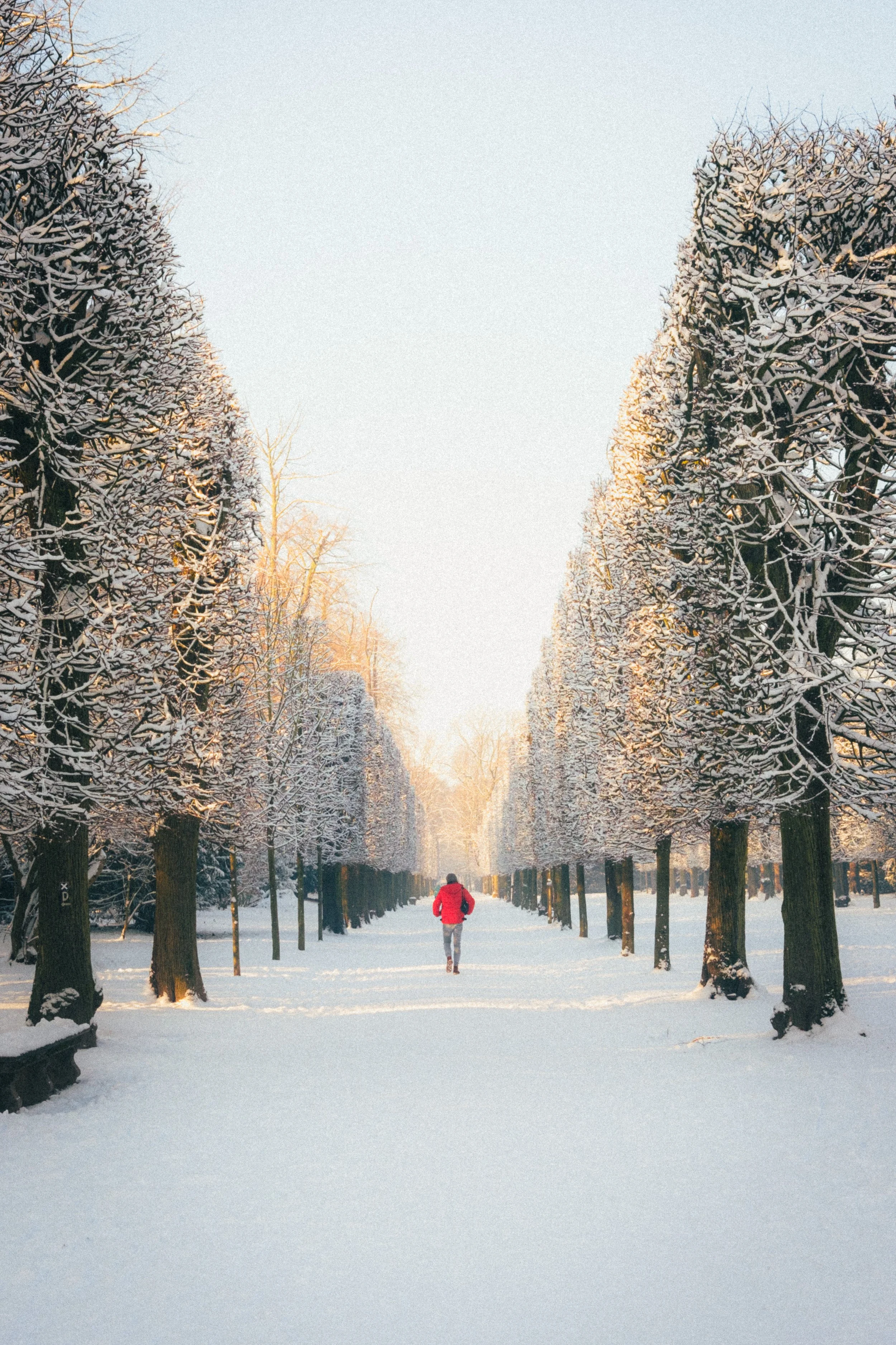 Fine art travel photography of a person walking in a bright red jacket along a snow-covered path lined with symmetrical trees in Schloss Benrath Park, Düsseldorf, Germany.