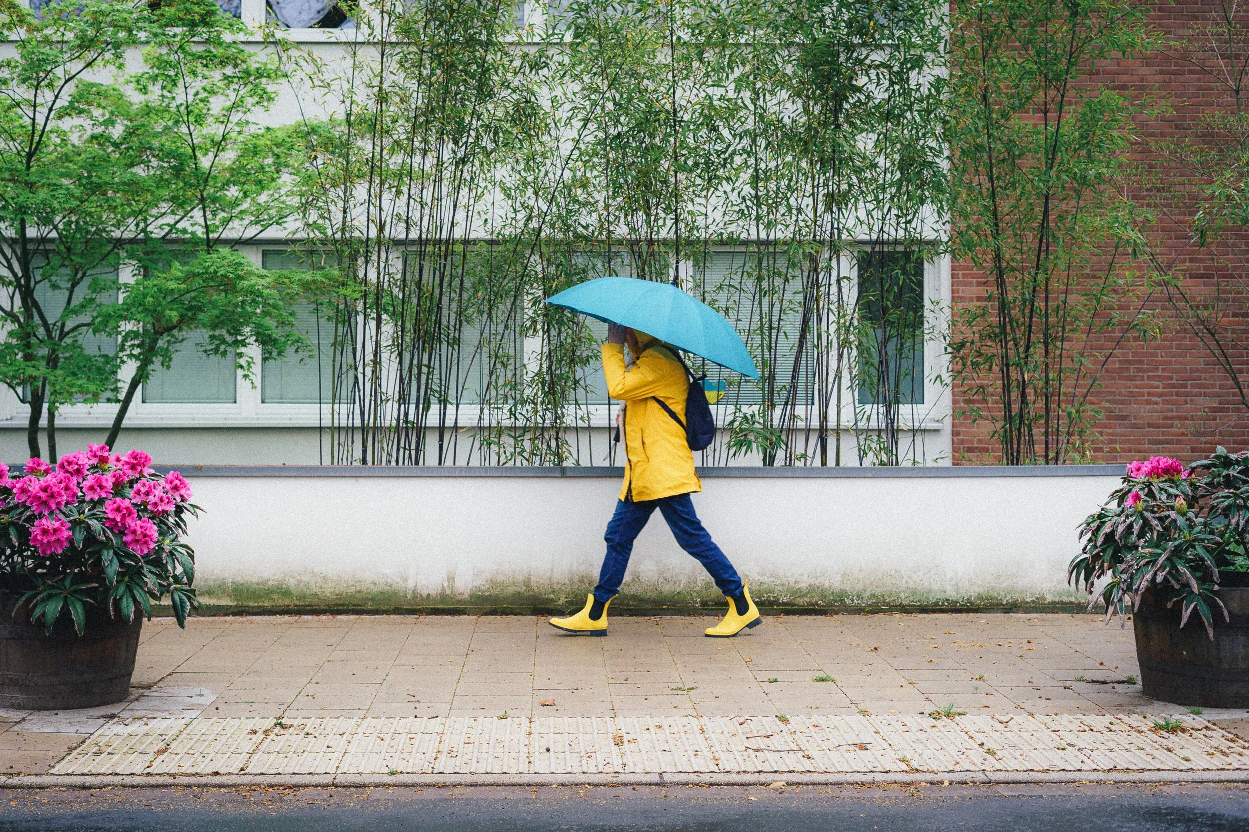 Vibrant street photograph of a person walking in Düsseldorf, Germany, wearing a bright yellow raincoat and boots, holding a teal umbrella. The scene is framed by lush green bamboo, pink flowers, and modern building facades, adding a pop of color to a