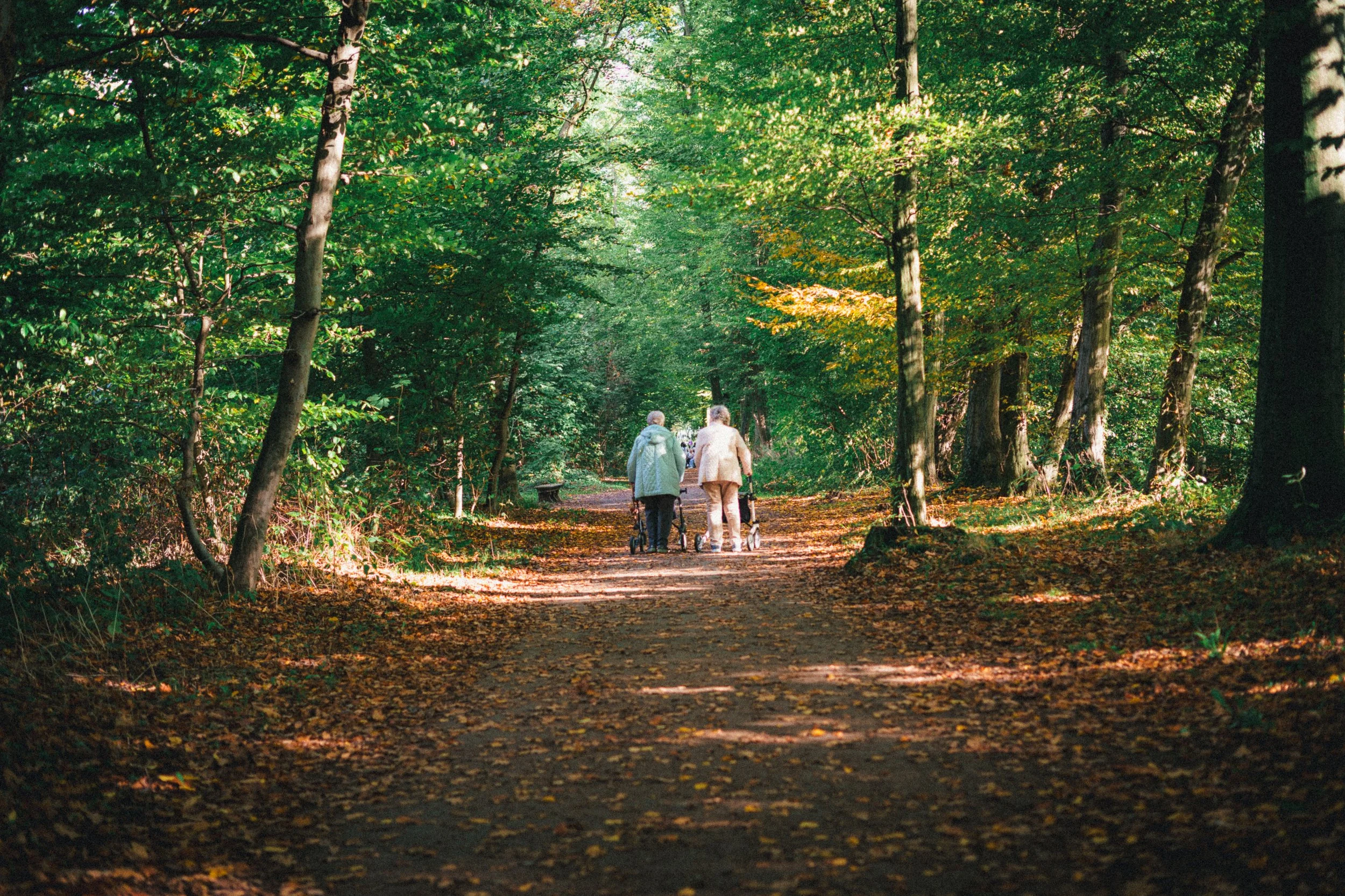 A vibrant autumn scene in a forested park in Düsseldorf. The sunlight filters through the lush green and golden leaves, creating a warm and tranquil ambiance. Two elderly individuals are walking together with mobility aids along the leaf-strewn path,