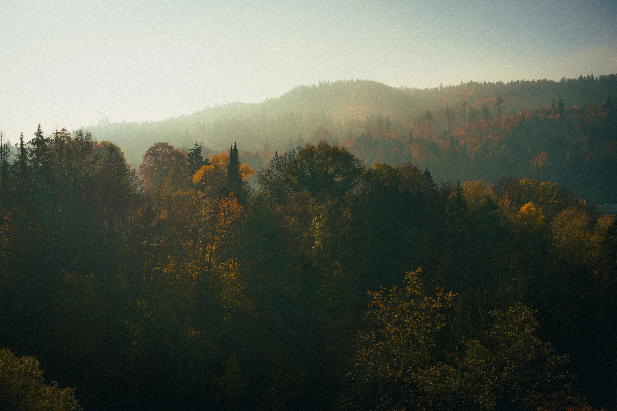 A fine art landscape of the mountains of Zürich, Switzerland. The are several layers of trees made by light, exposing the autumn colors.