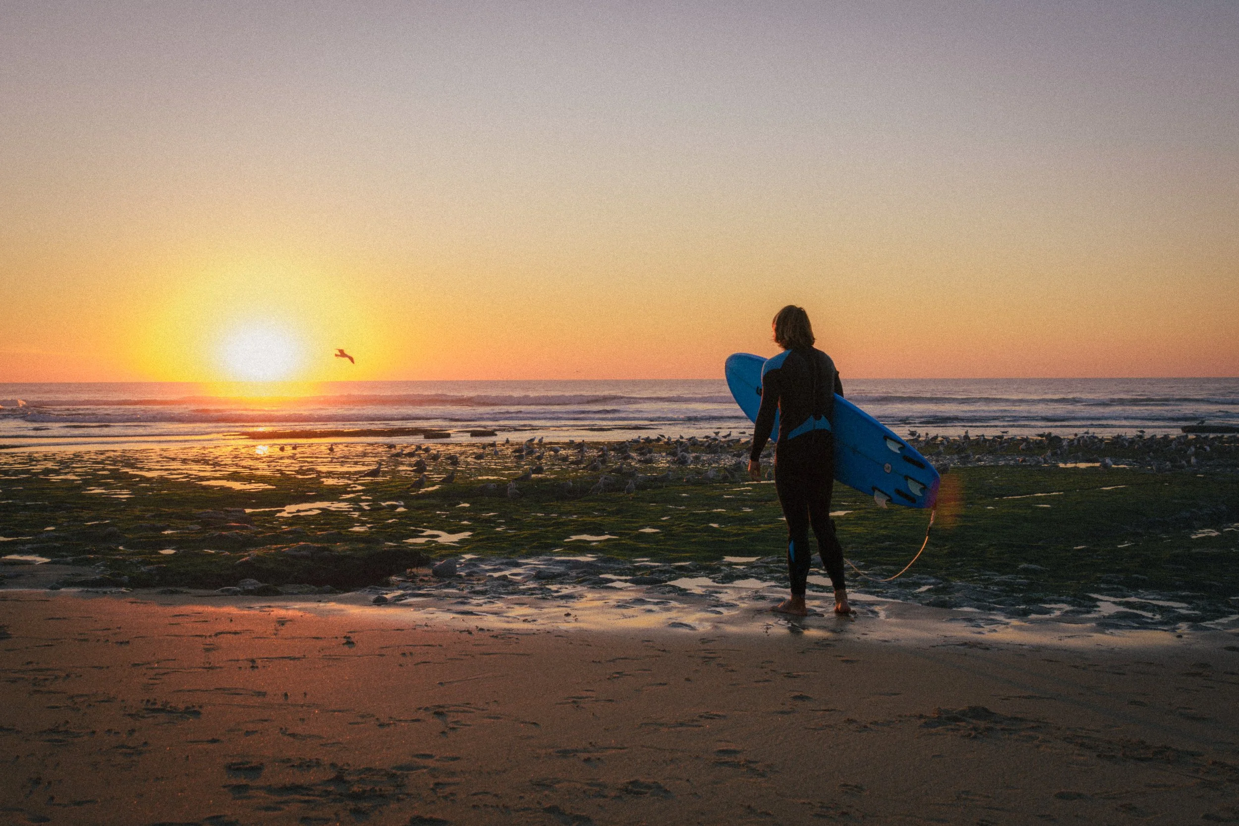 A captivating sunset on the beach in Ericeira, Portugal. A surfer, clad in a wetsuit, carries a blue surfboard while walking barefoot on the wet sand. The vibrant orange and yellow hues of the setting sun reflect on the water and sand, creating a ser