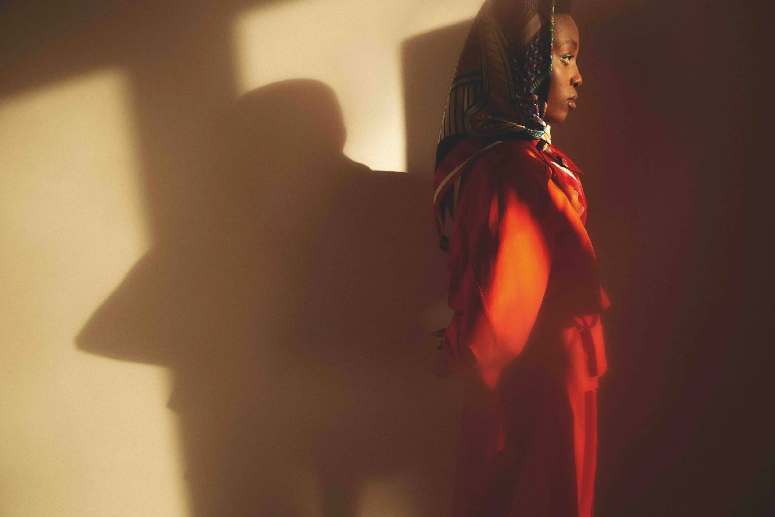 Red look in silhouette with a hard shadow on a beige wall